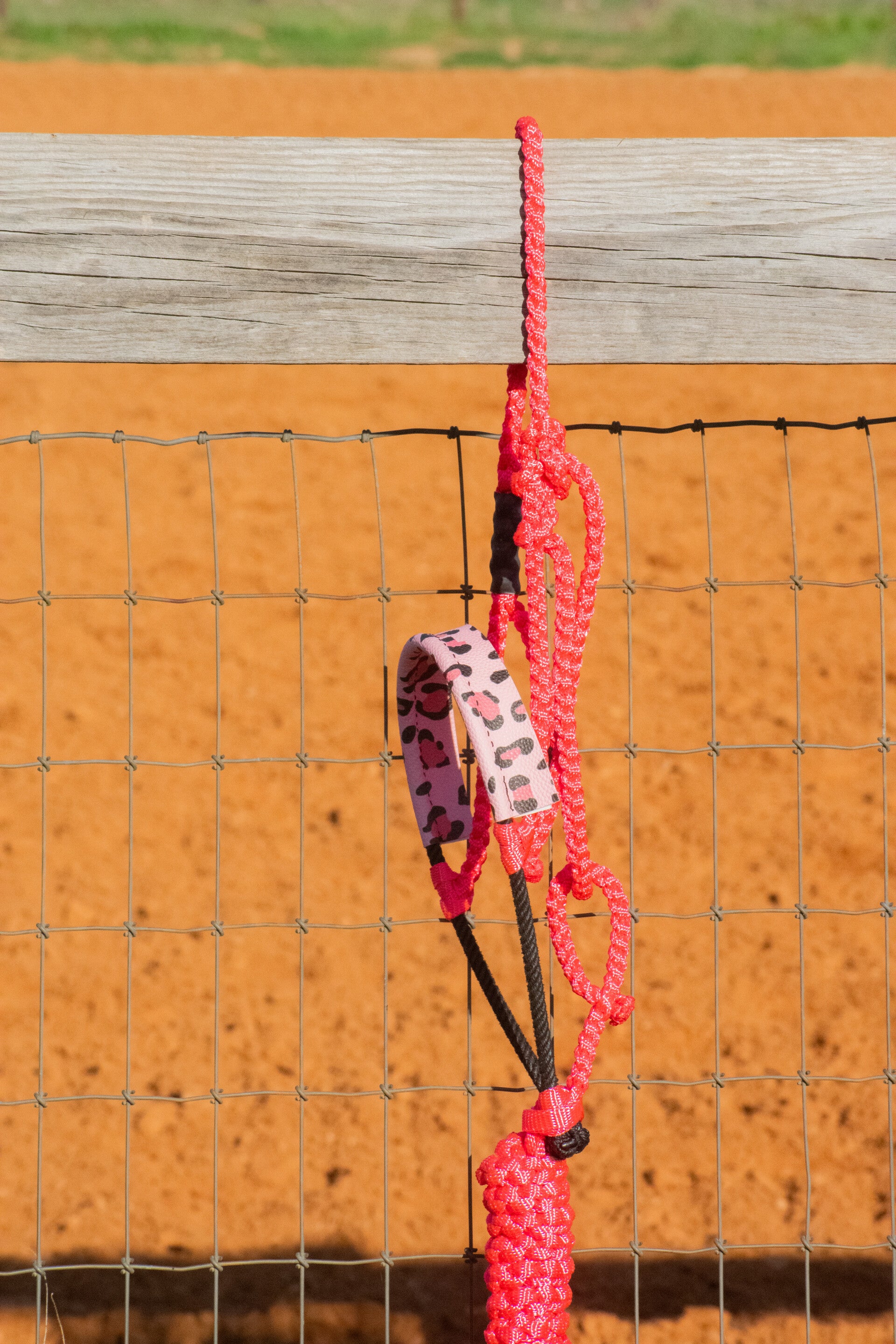Pink Muletape Halter