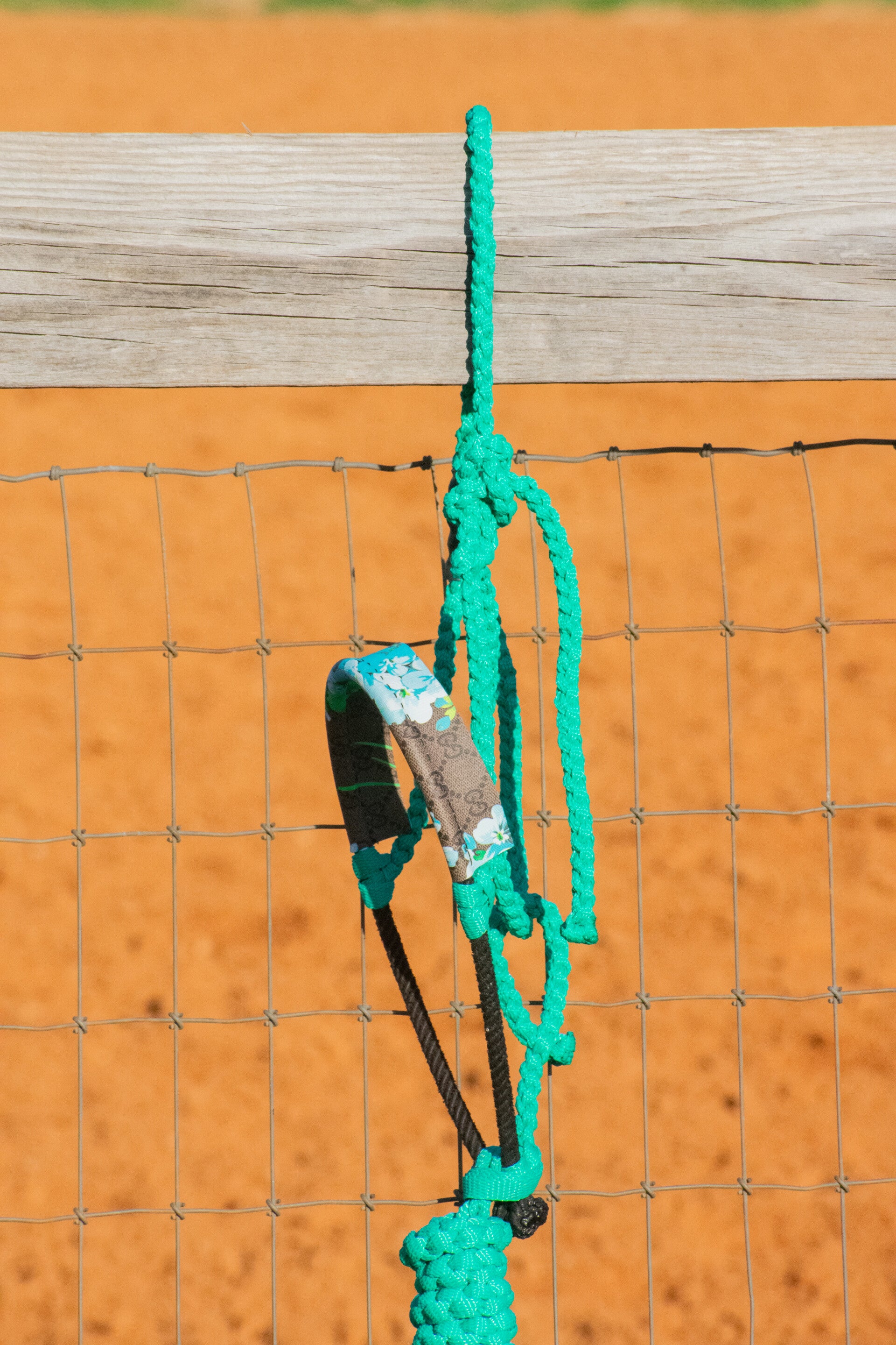 Teal Muletape Halter