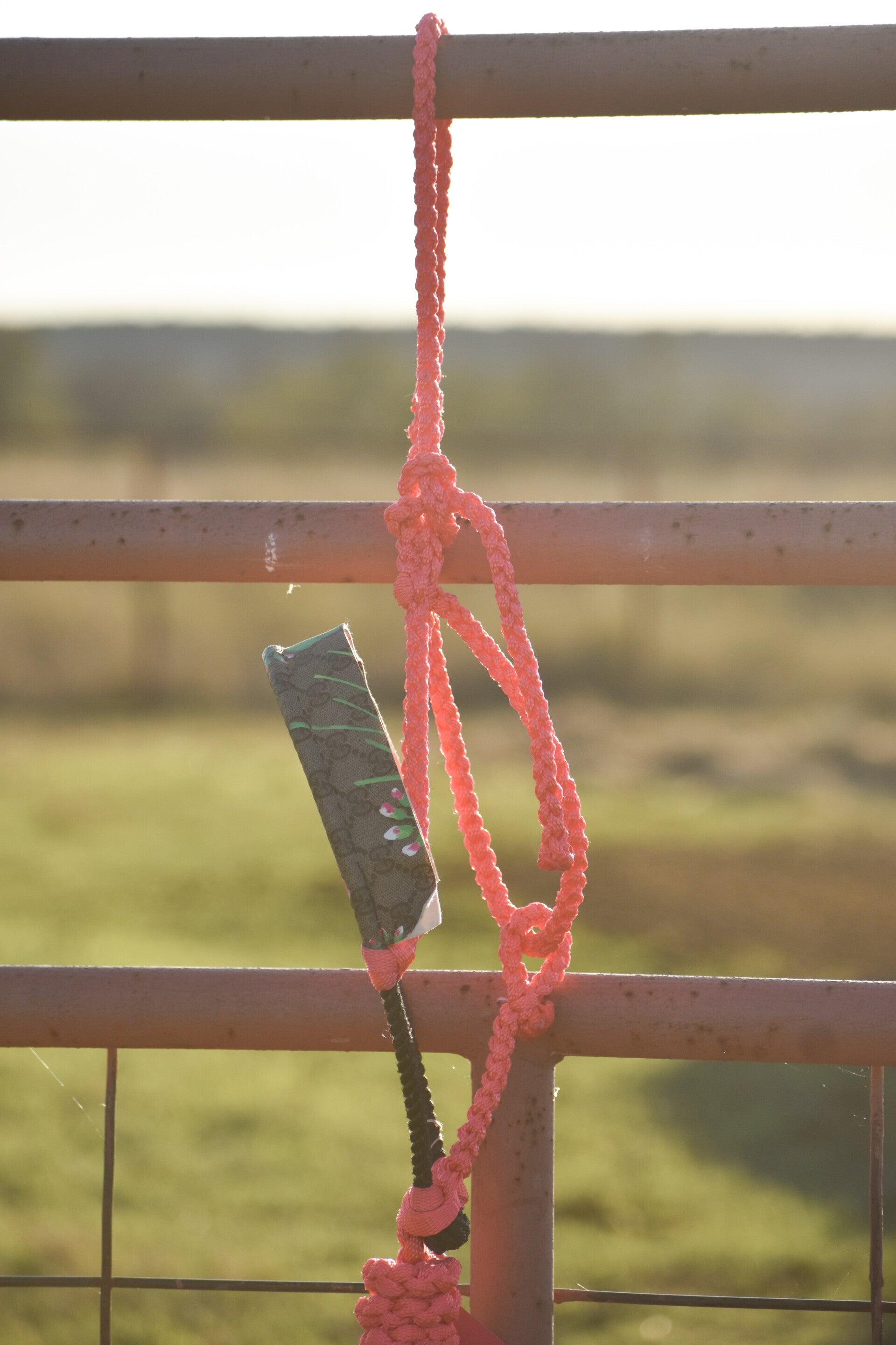Pink Muletape Halter