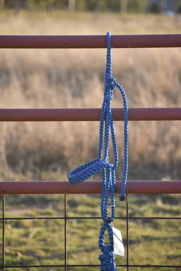Royal Blue Flat Muletape Halter