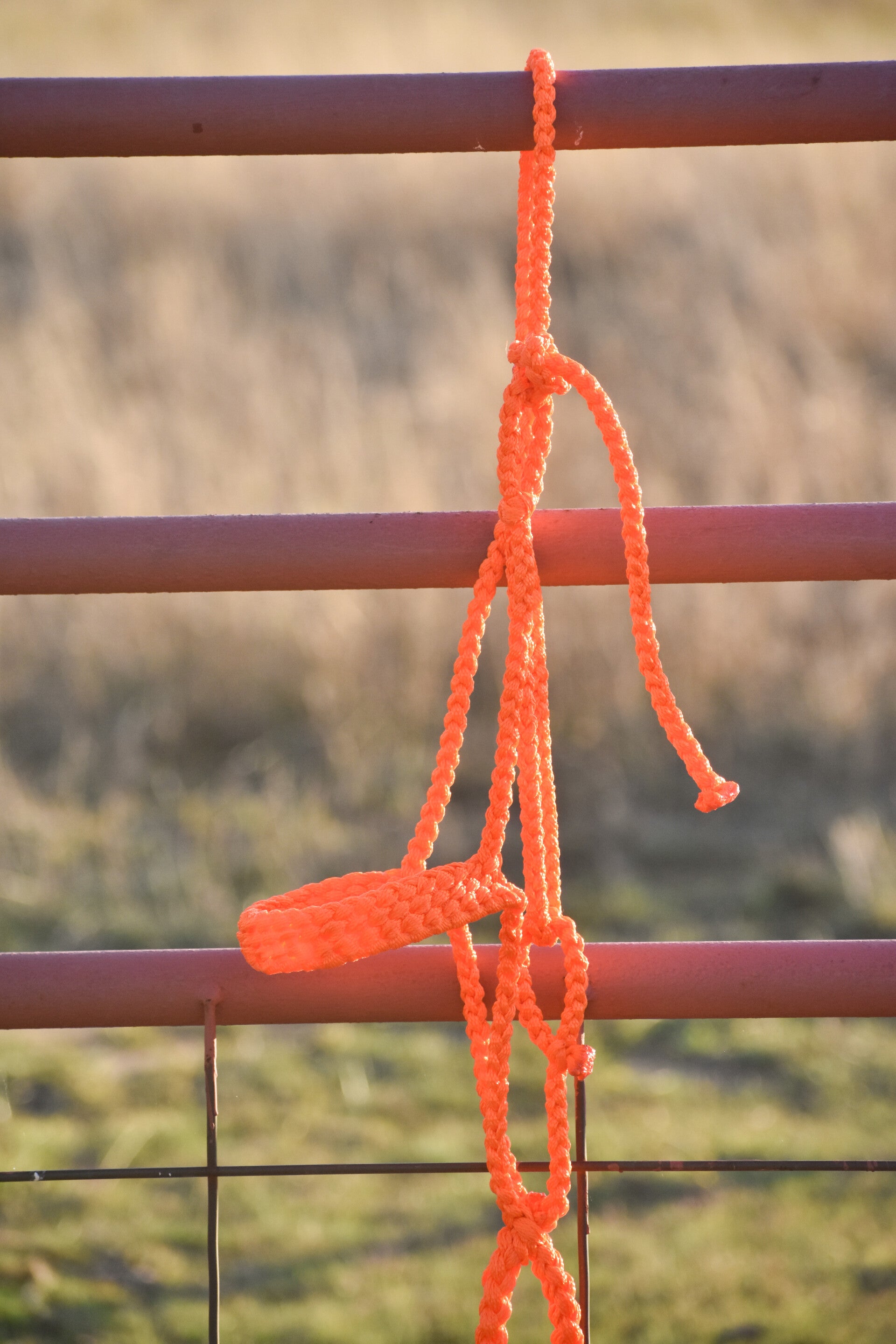 Orange Flat Muletape Halter