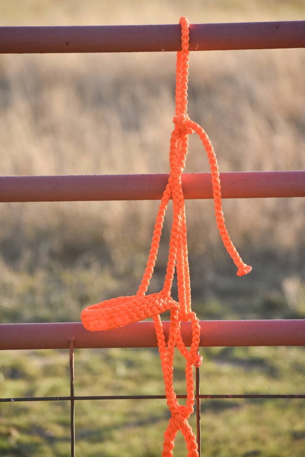 Orange Flat Muletape Halter