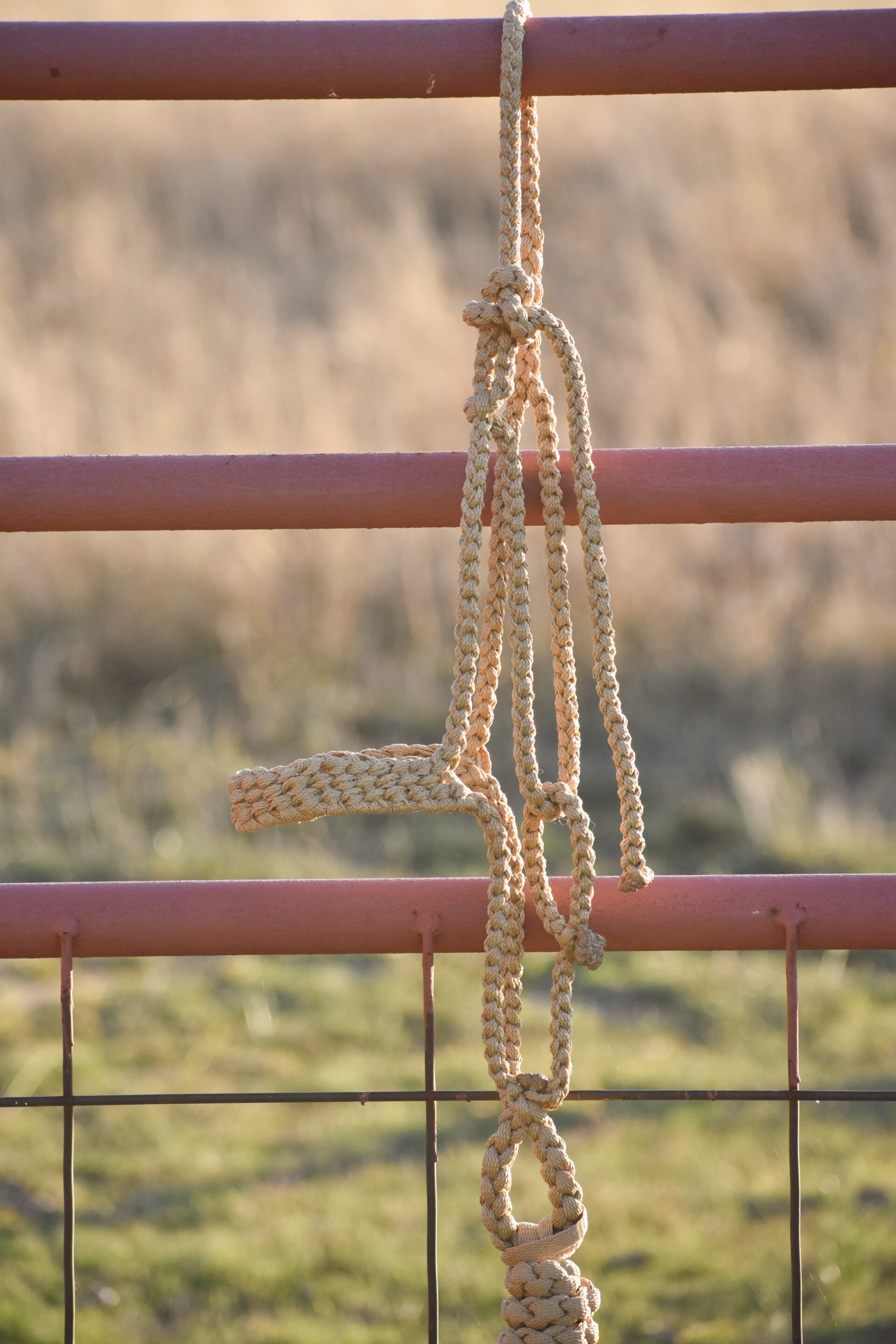 Tan Flat Muletape Halter