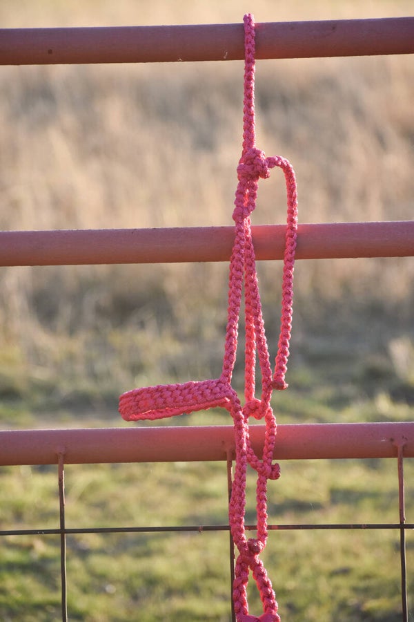 Fuchsia Flat Muletape Halter