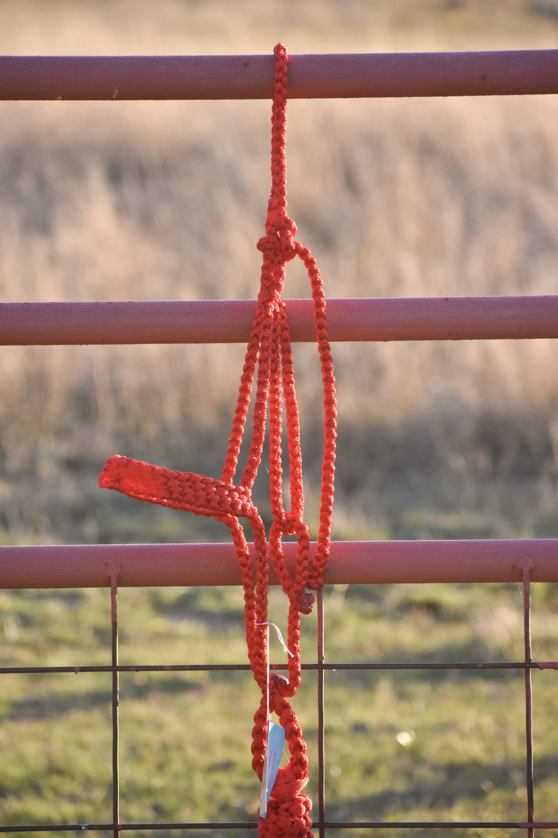 Red Flat Muletape Halter