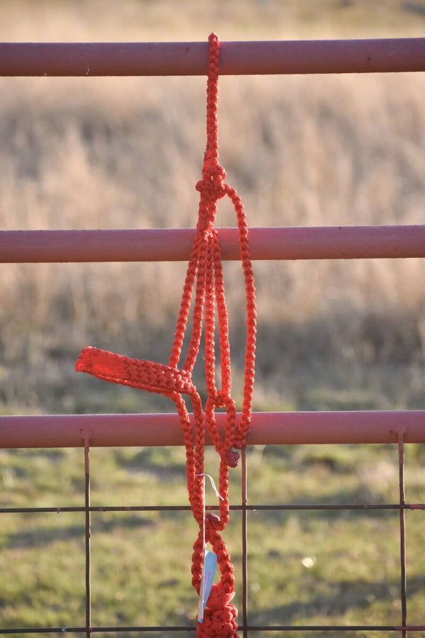 Red Flat Muletape Halter