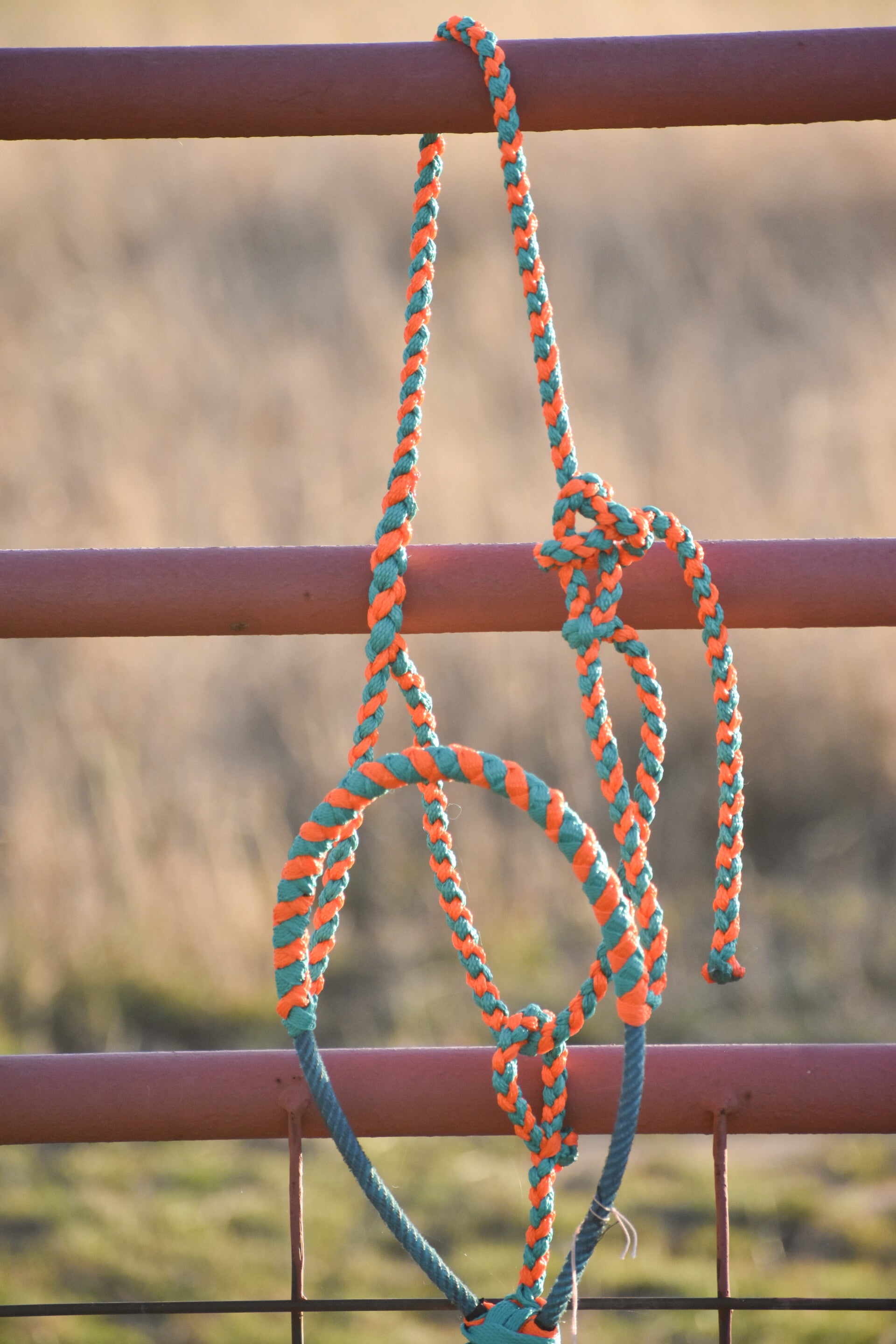 Teal + Orange Braided Muletape Halter