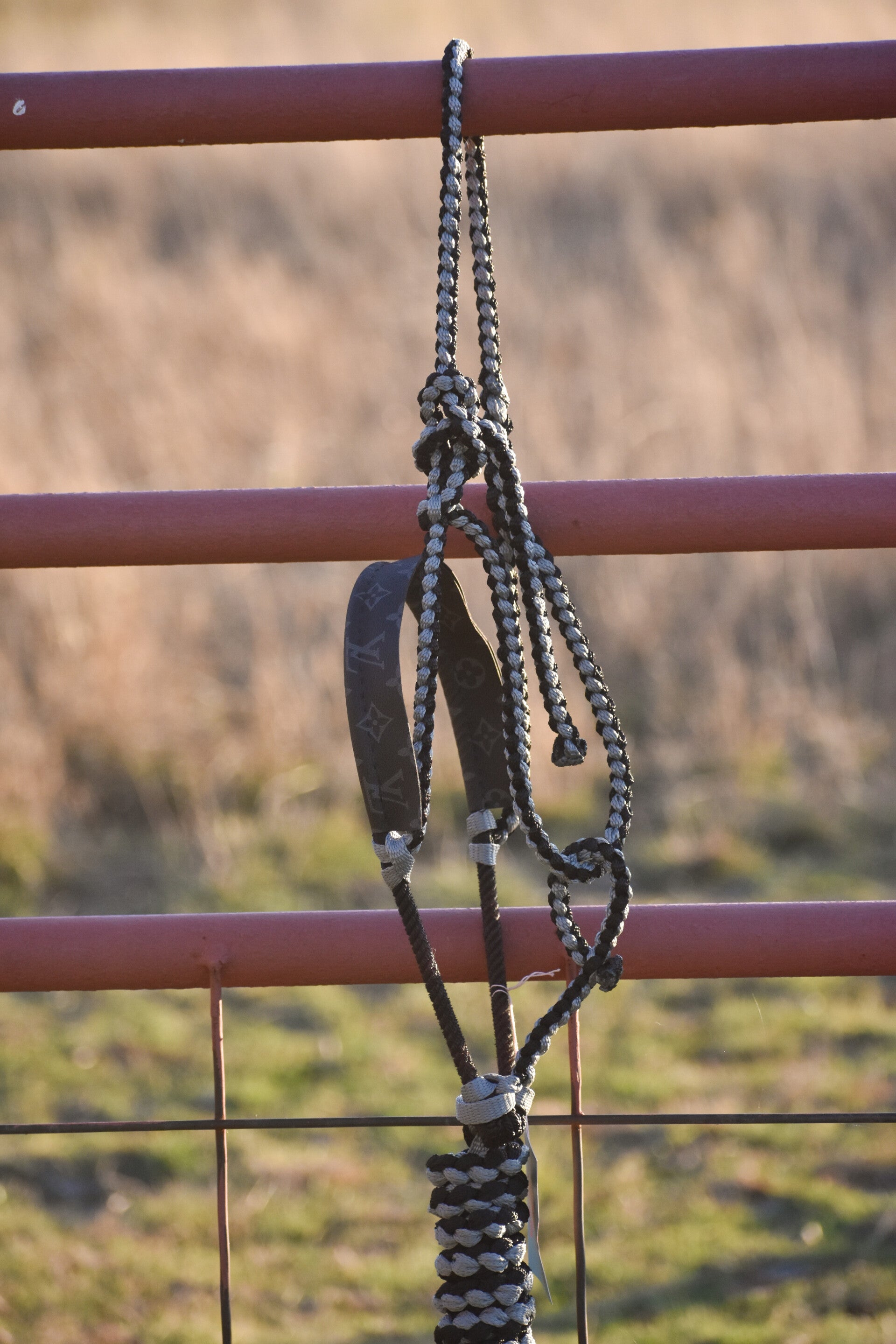 Black + Grey Muletape Halter