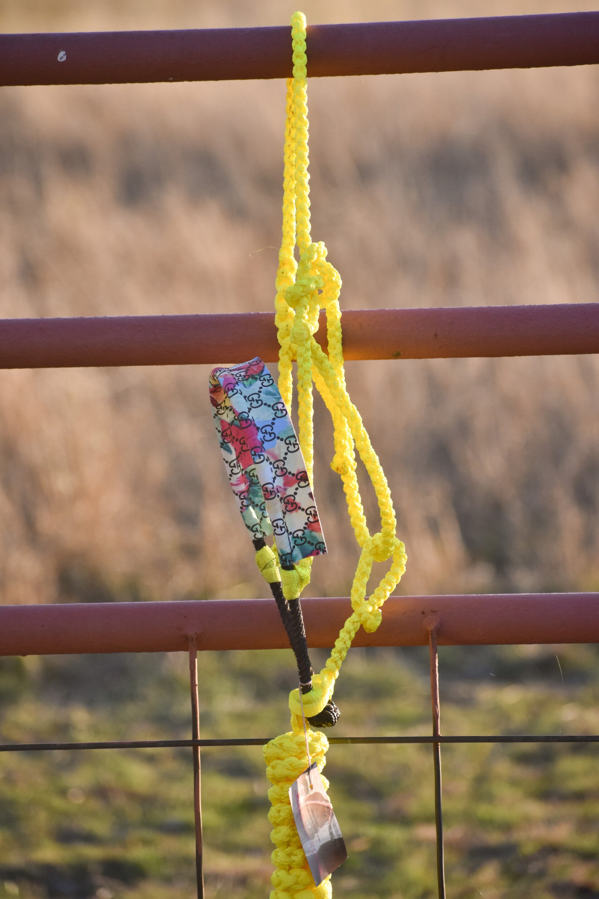 Yellow Muletape Halter