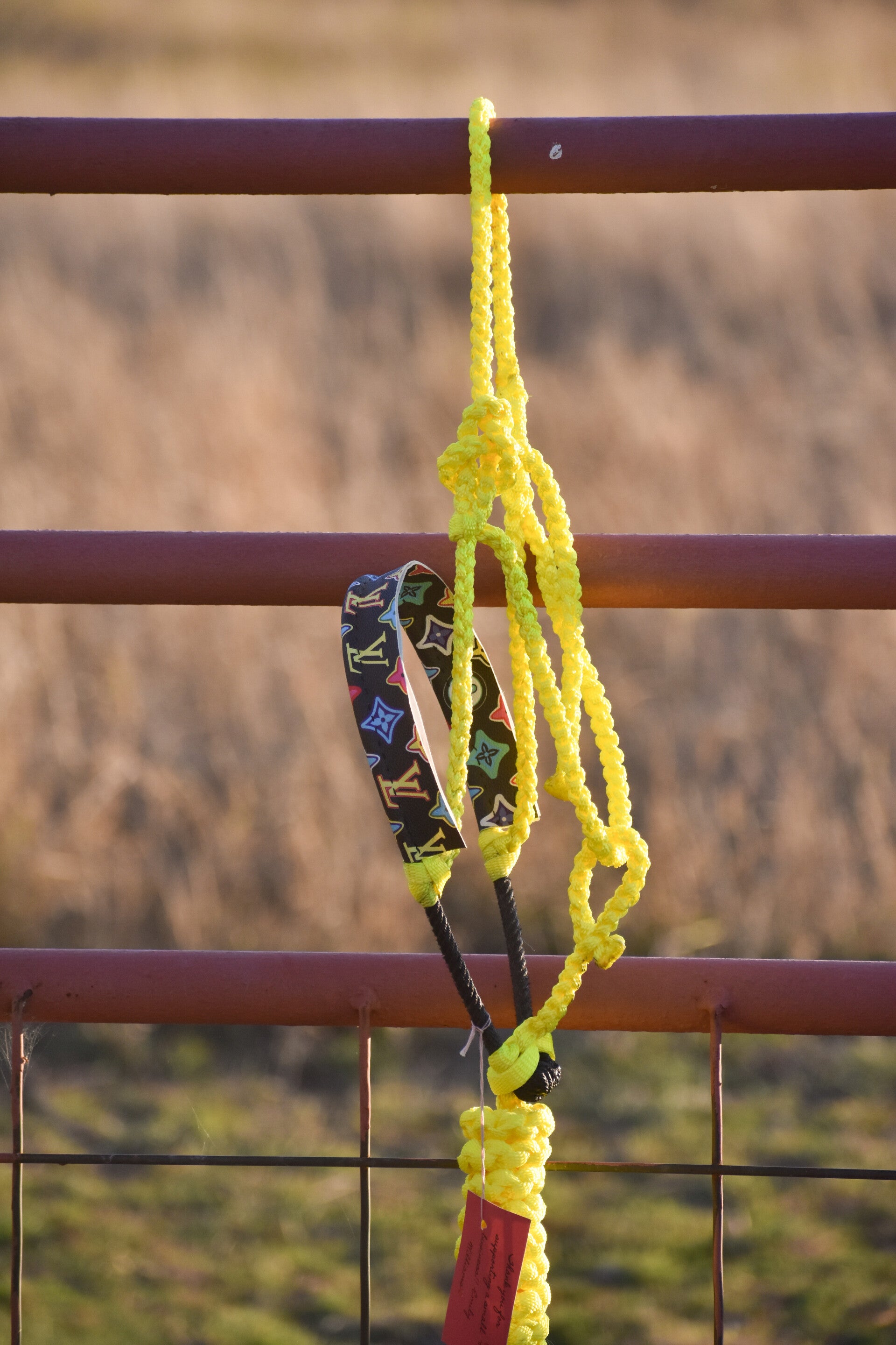 Yellow Muletape Halter