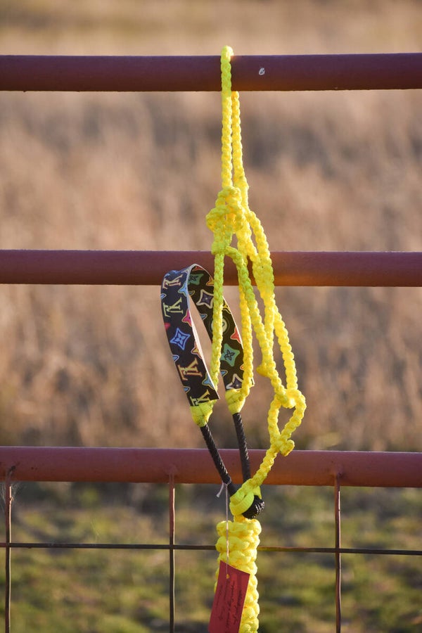 Yellow Muletape Halter