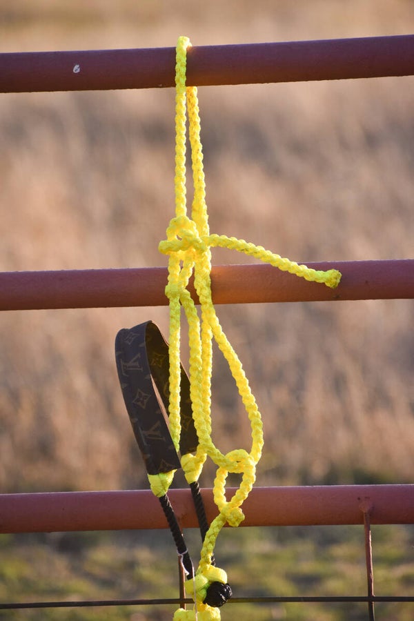 Yellow Muletape Halter