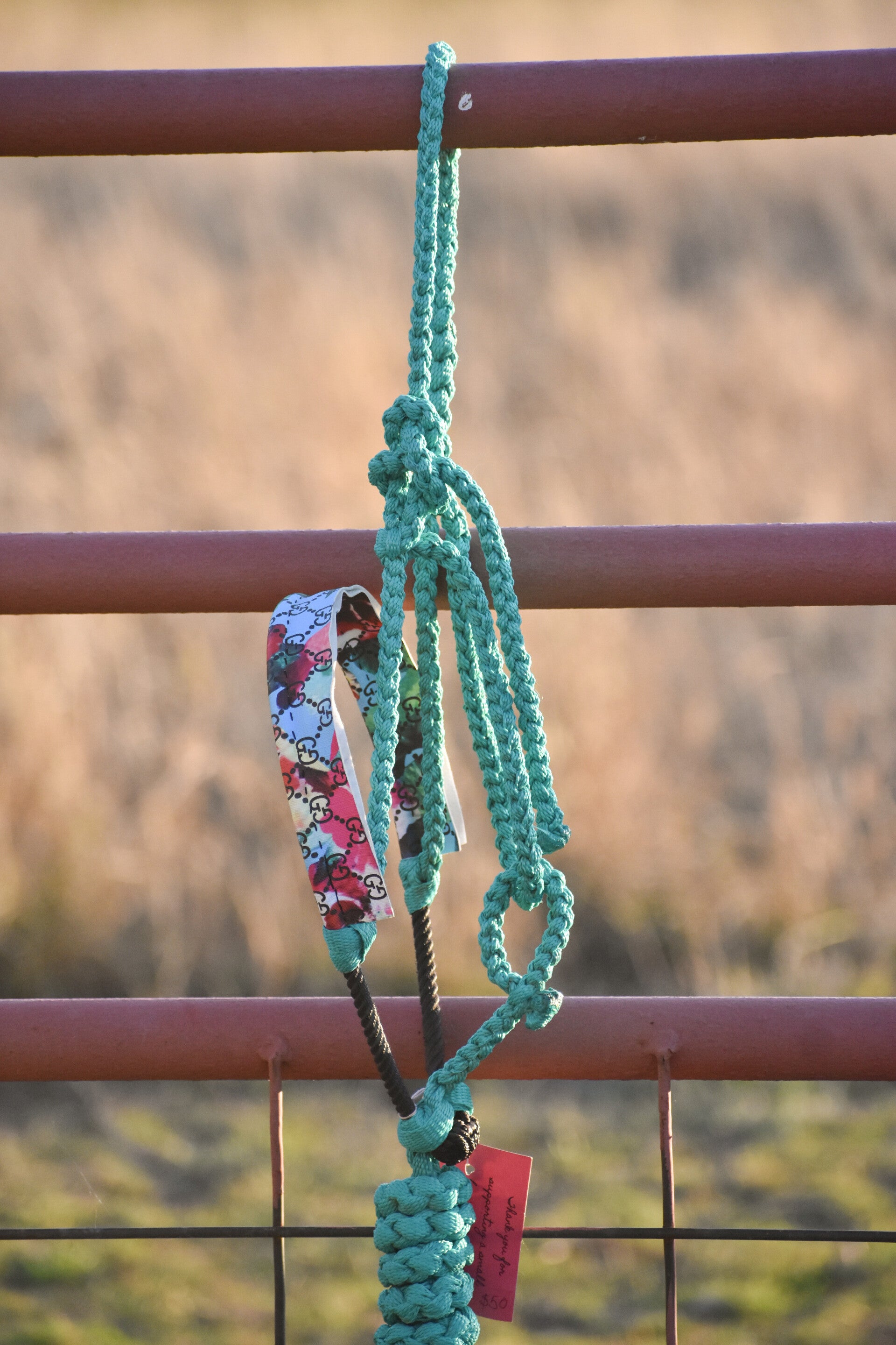 Teal Muletape Halter