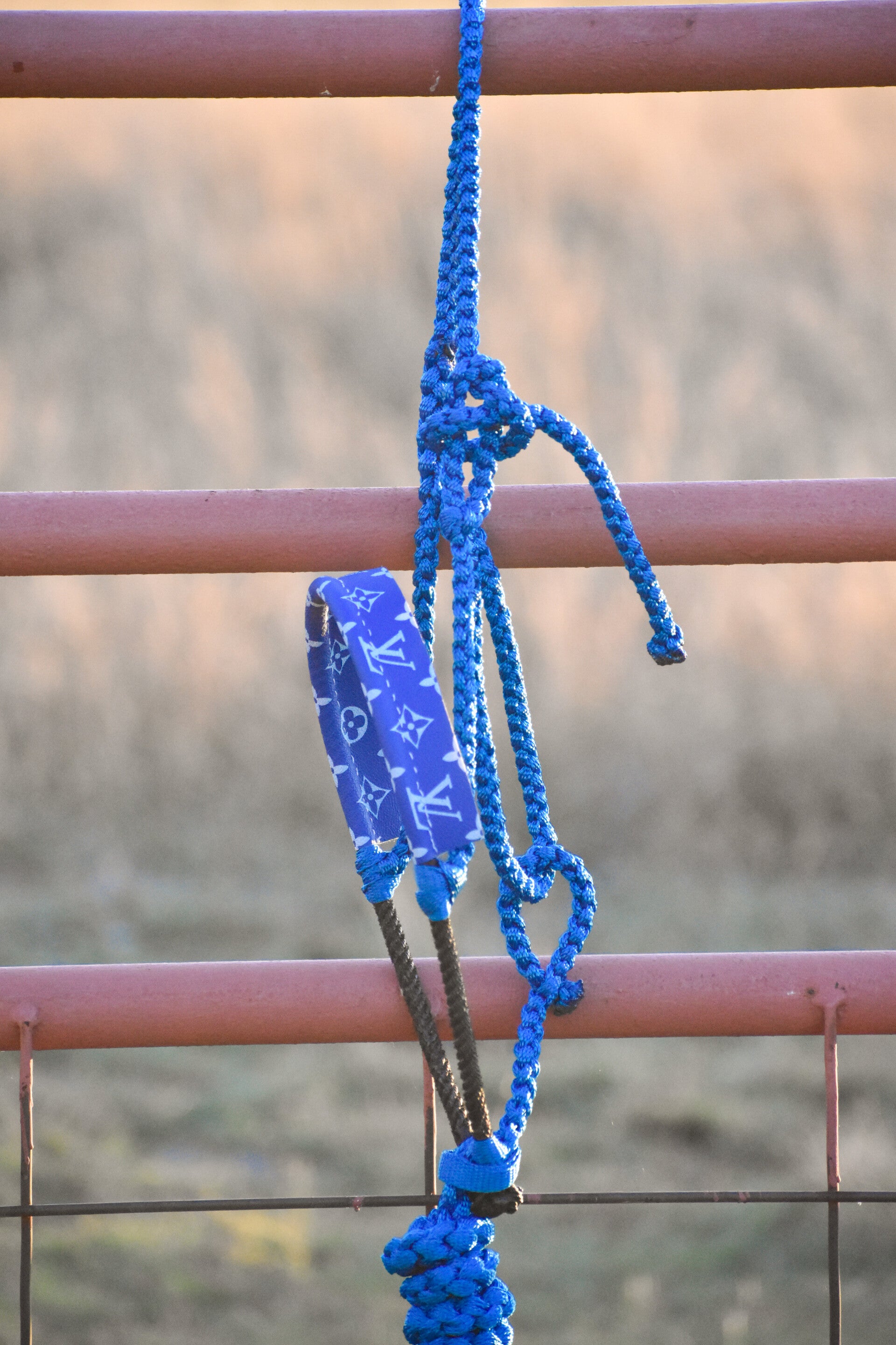 Royal Blue Muletape Halter