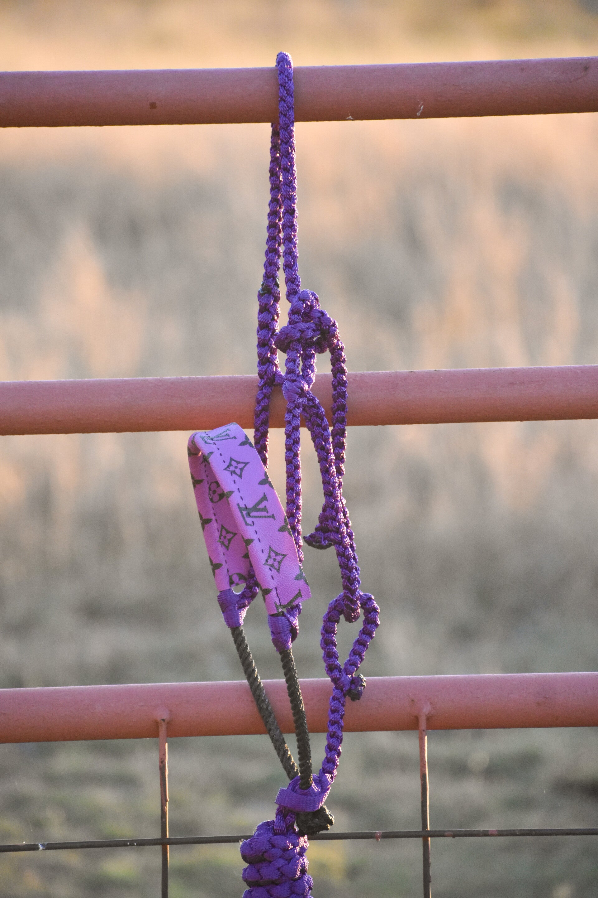 Purple Muletape Halter