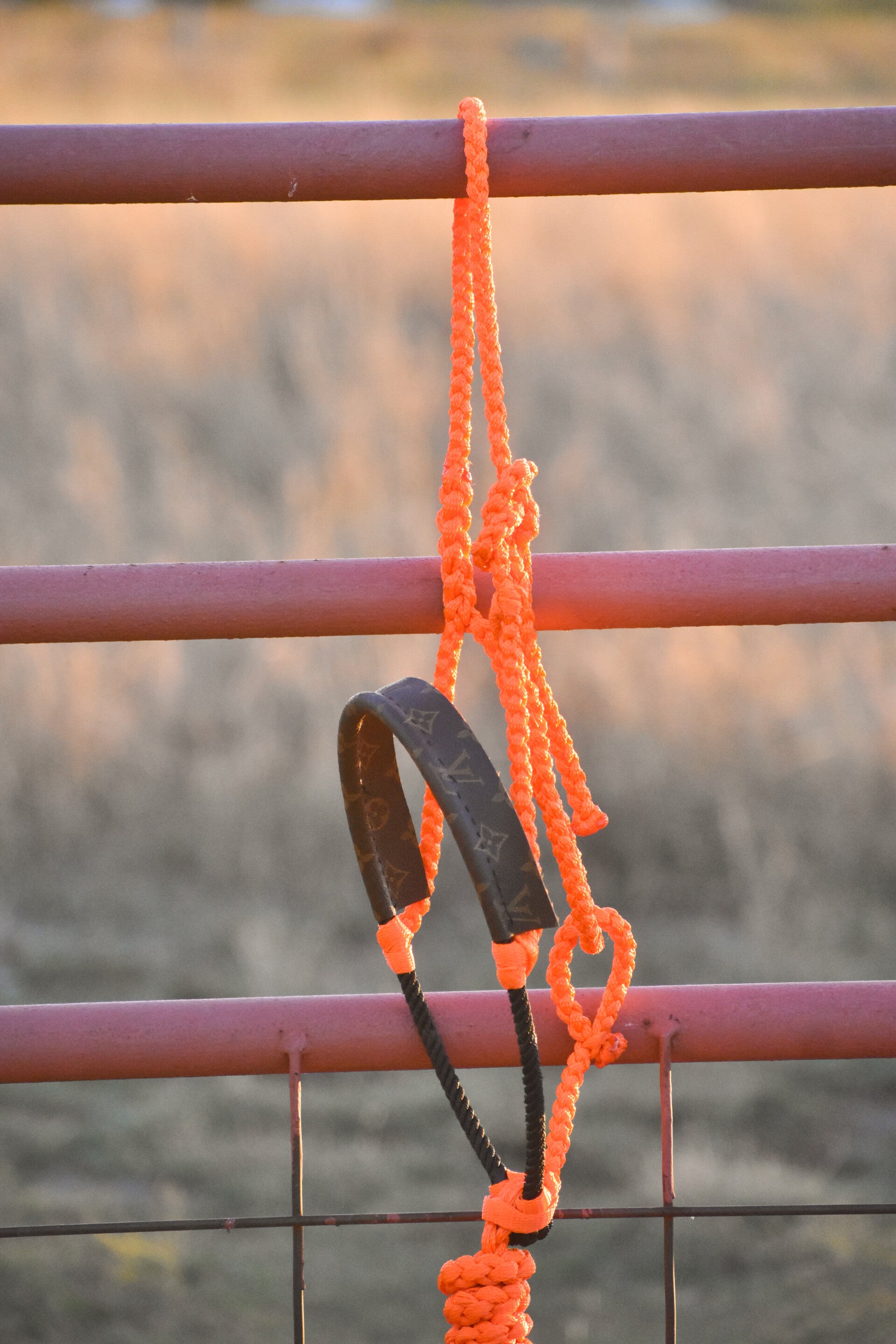 Orange Muletape Halter