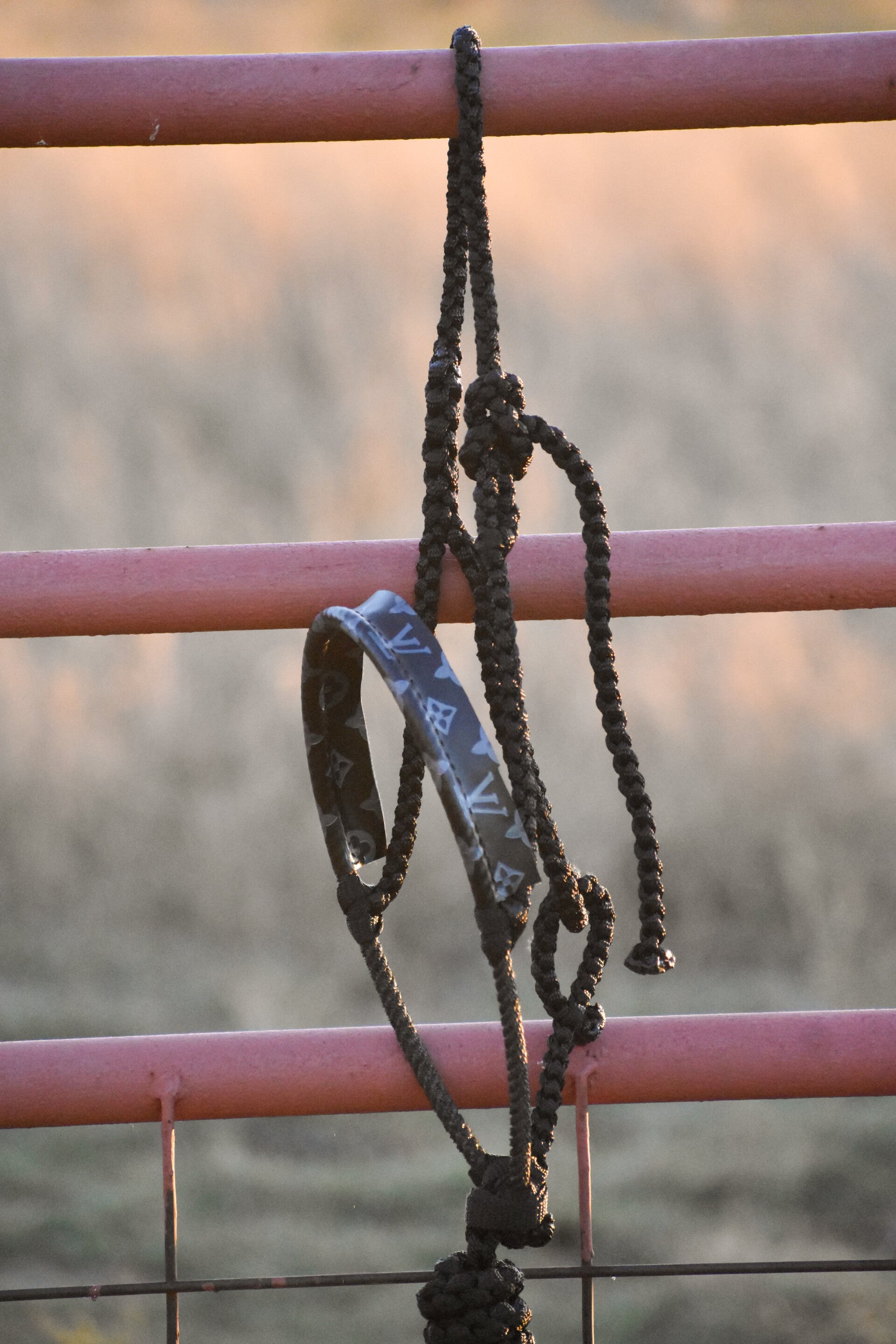 Black Muletape Halter