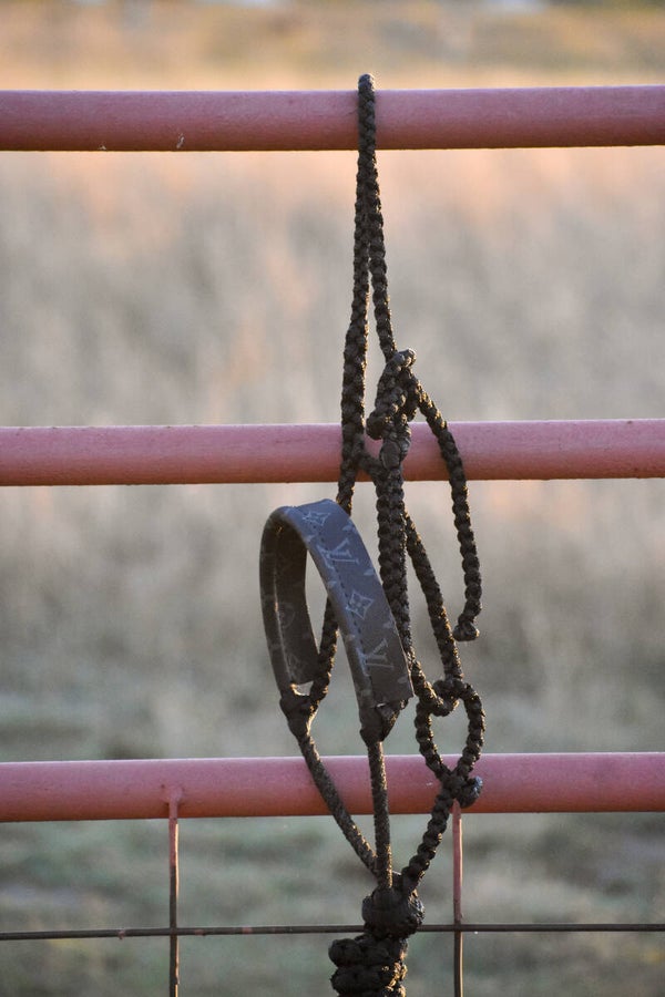 Black Muletape Halter