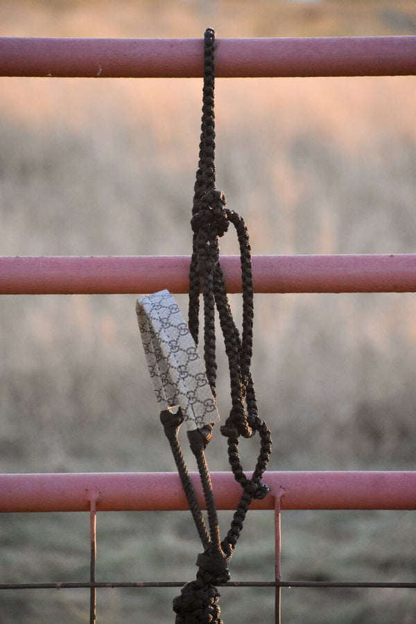 Black Muletape Halter