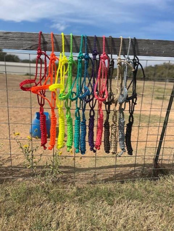 Purple Flat Muletape Halter