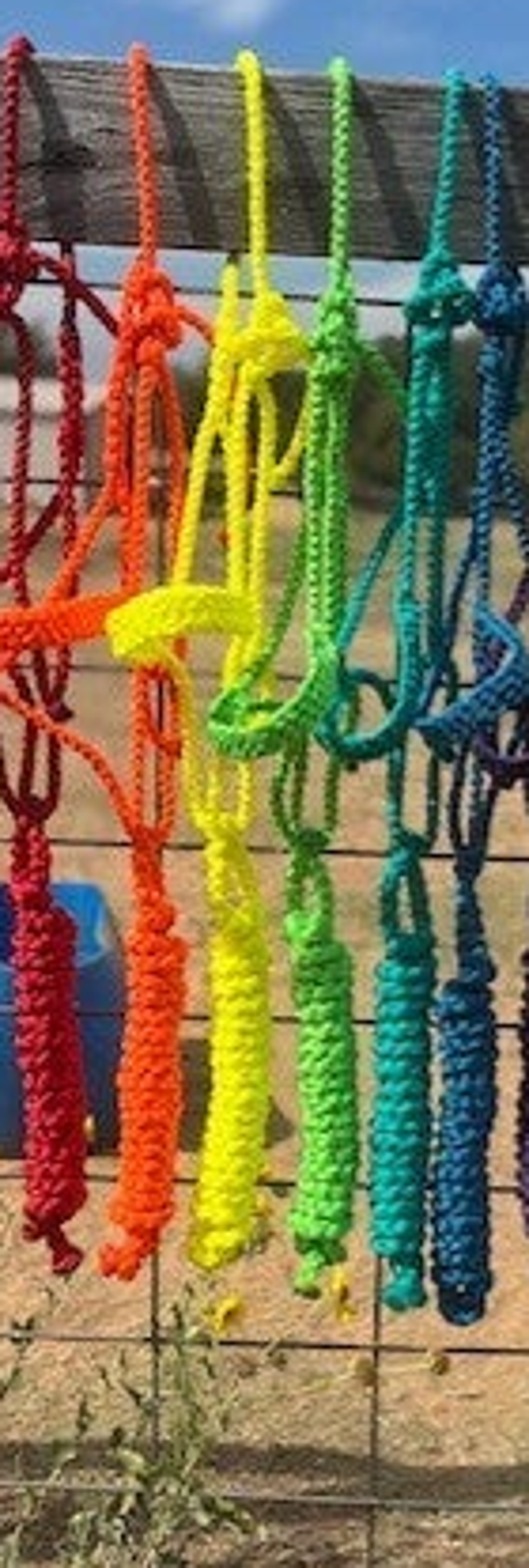 Lime Green Flat Muletape Halter