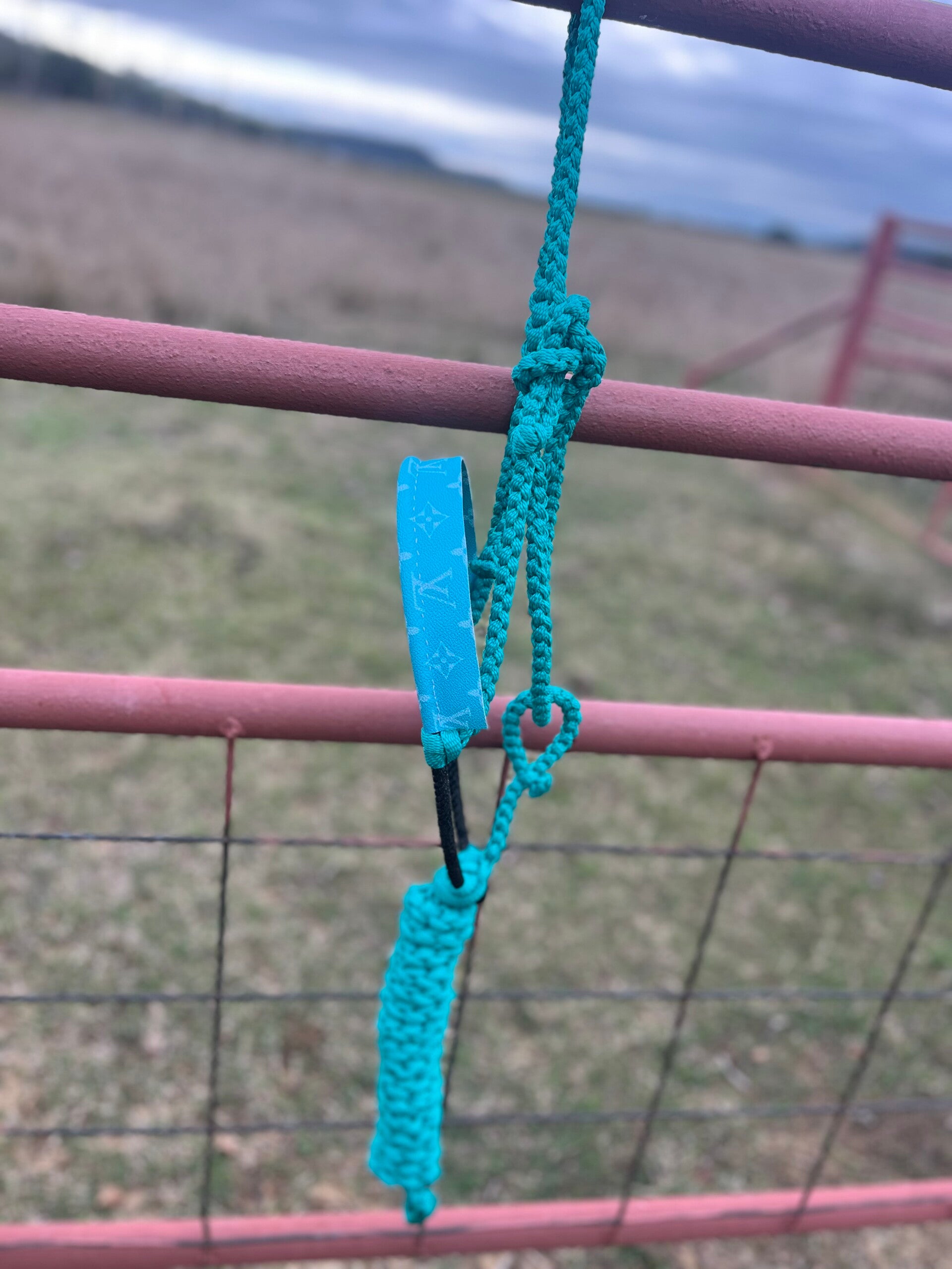 Teal Muletape Halter