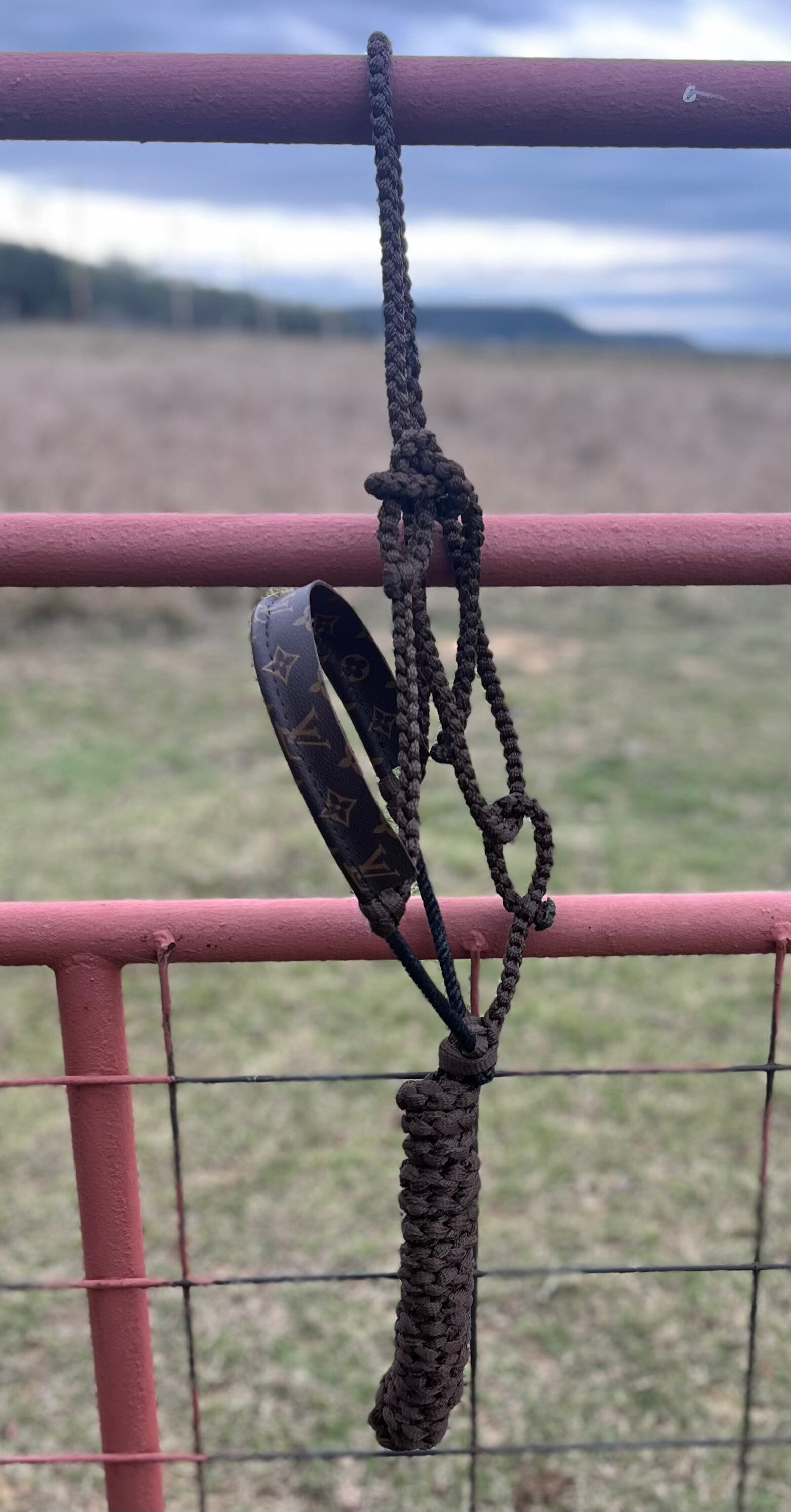 Brown Muletape Halter