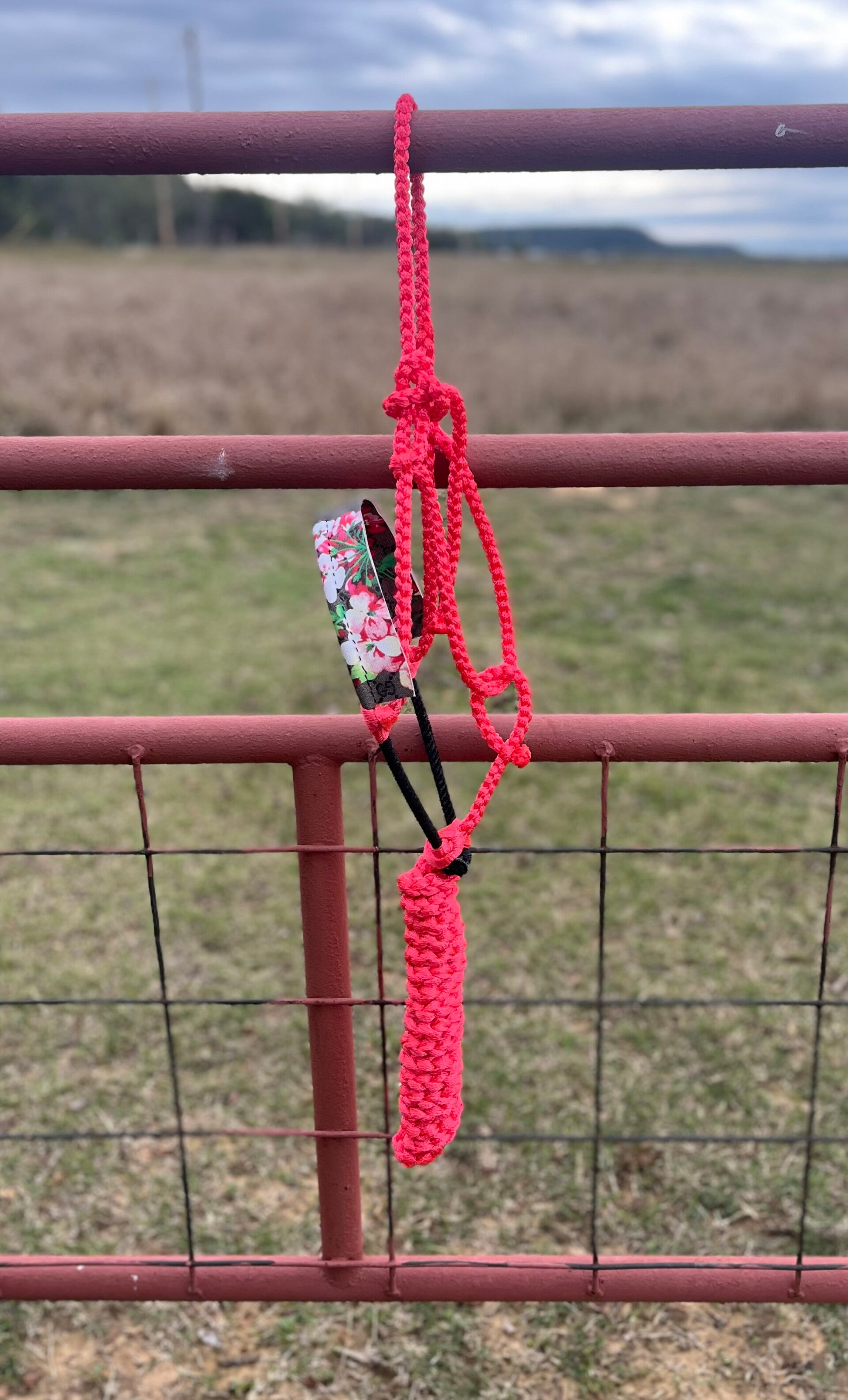 Fuschia Muletape Halter