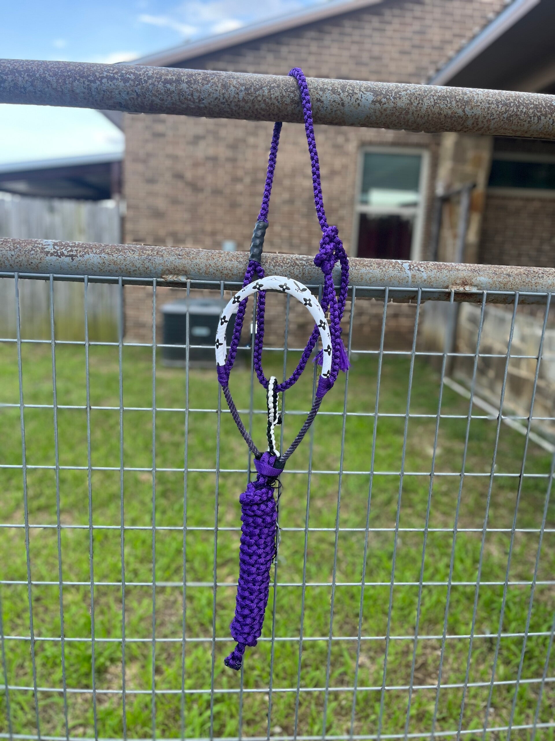 *The Willy* Purple Muletape Halter