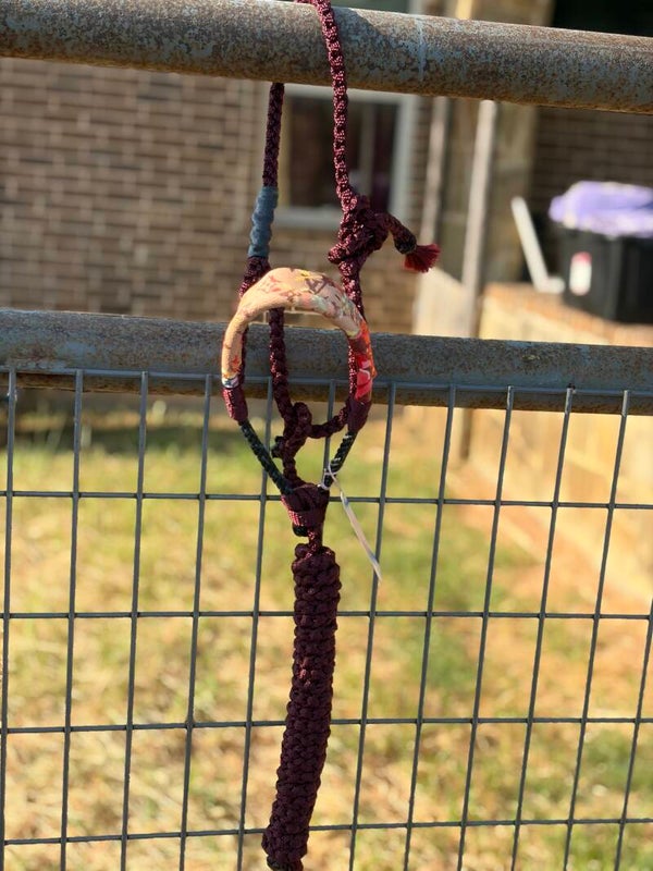 RTS: *MINI* Burgundy Leather&Muletape Halter