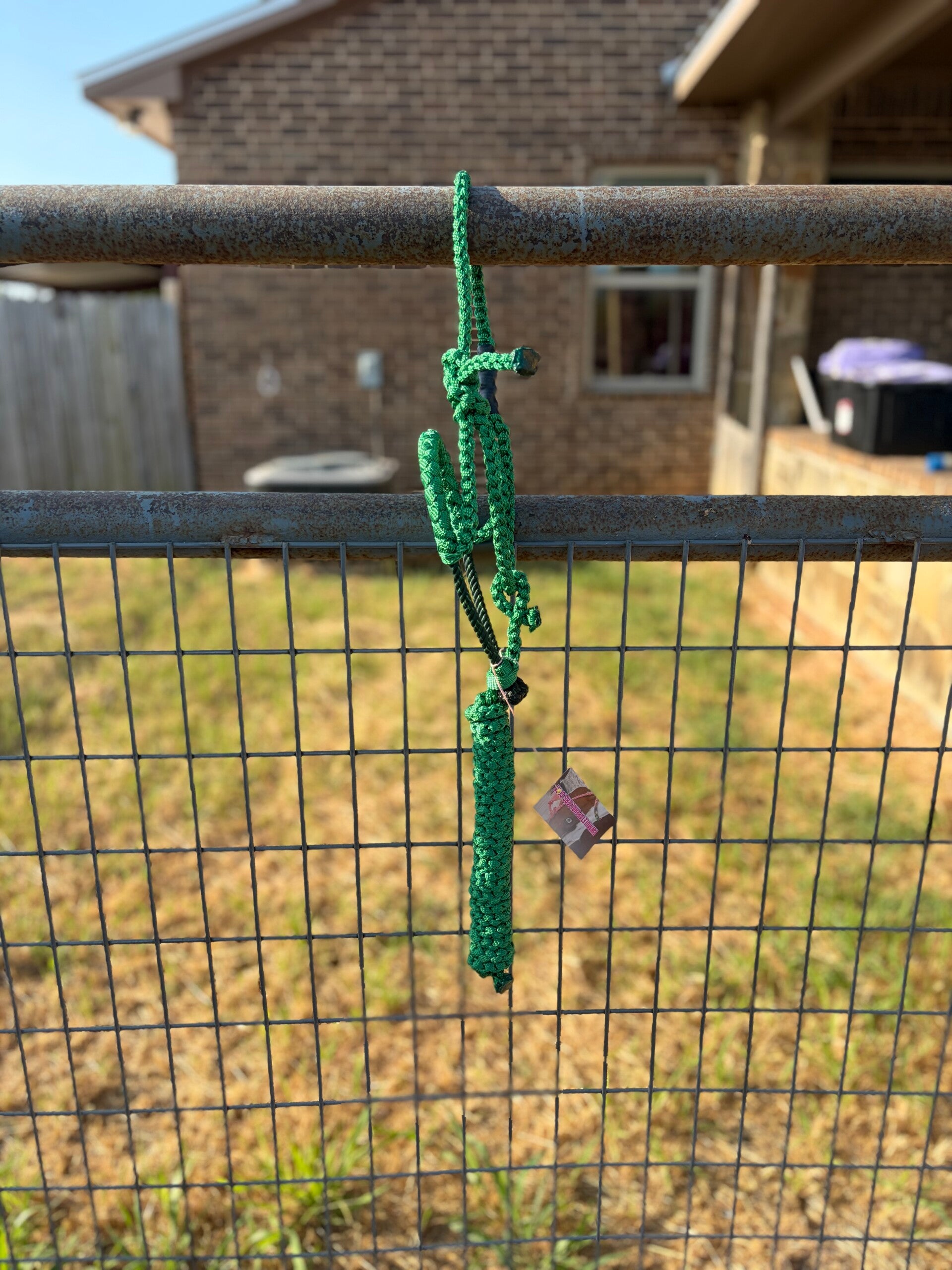 RTS: *MINI* Kelly Green Braided Nose Halter