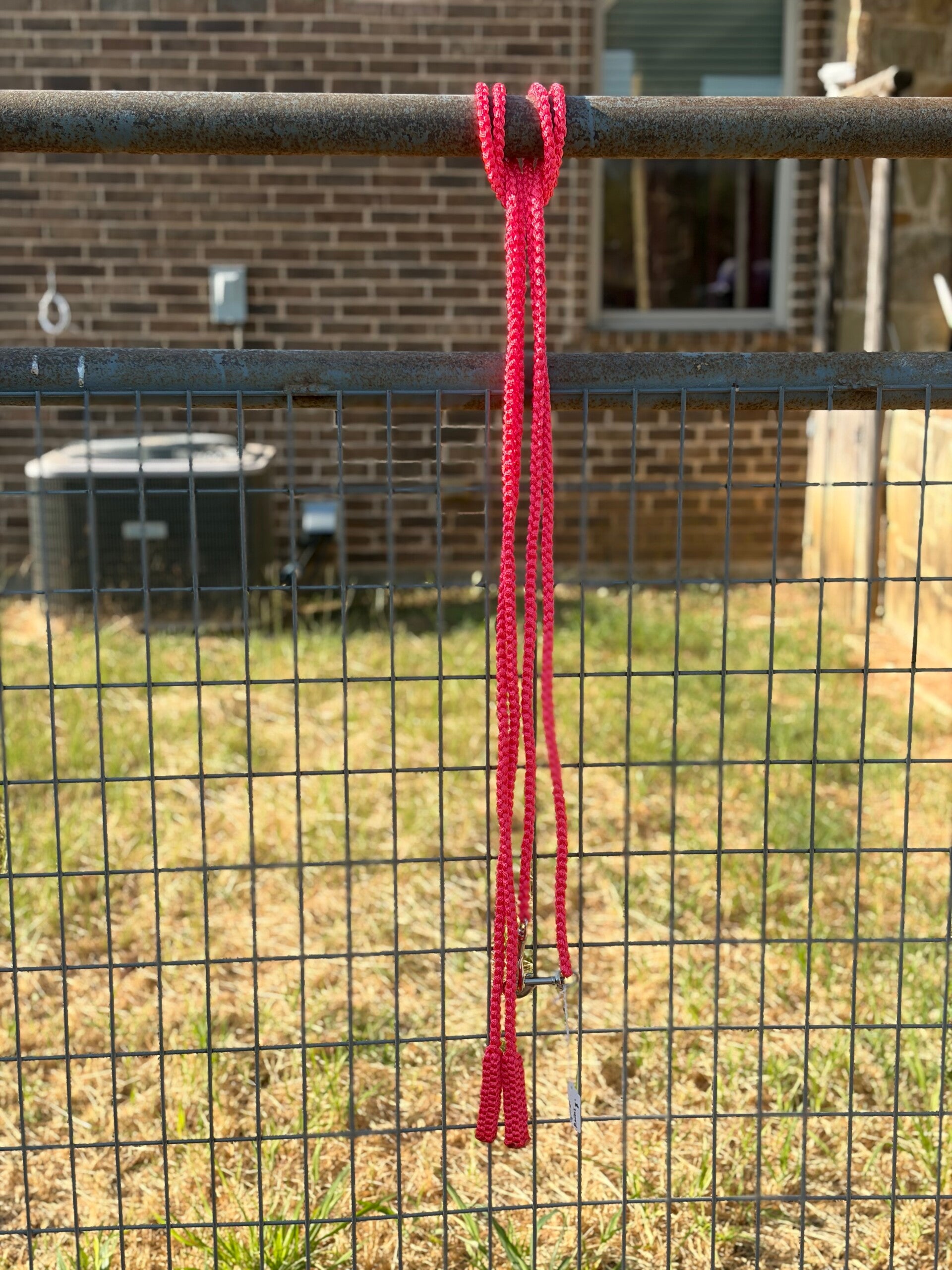 Neon Pink Split Reins