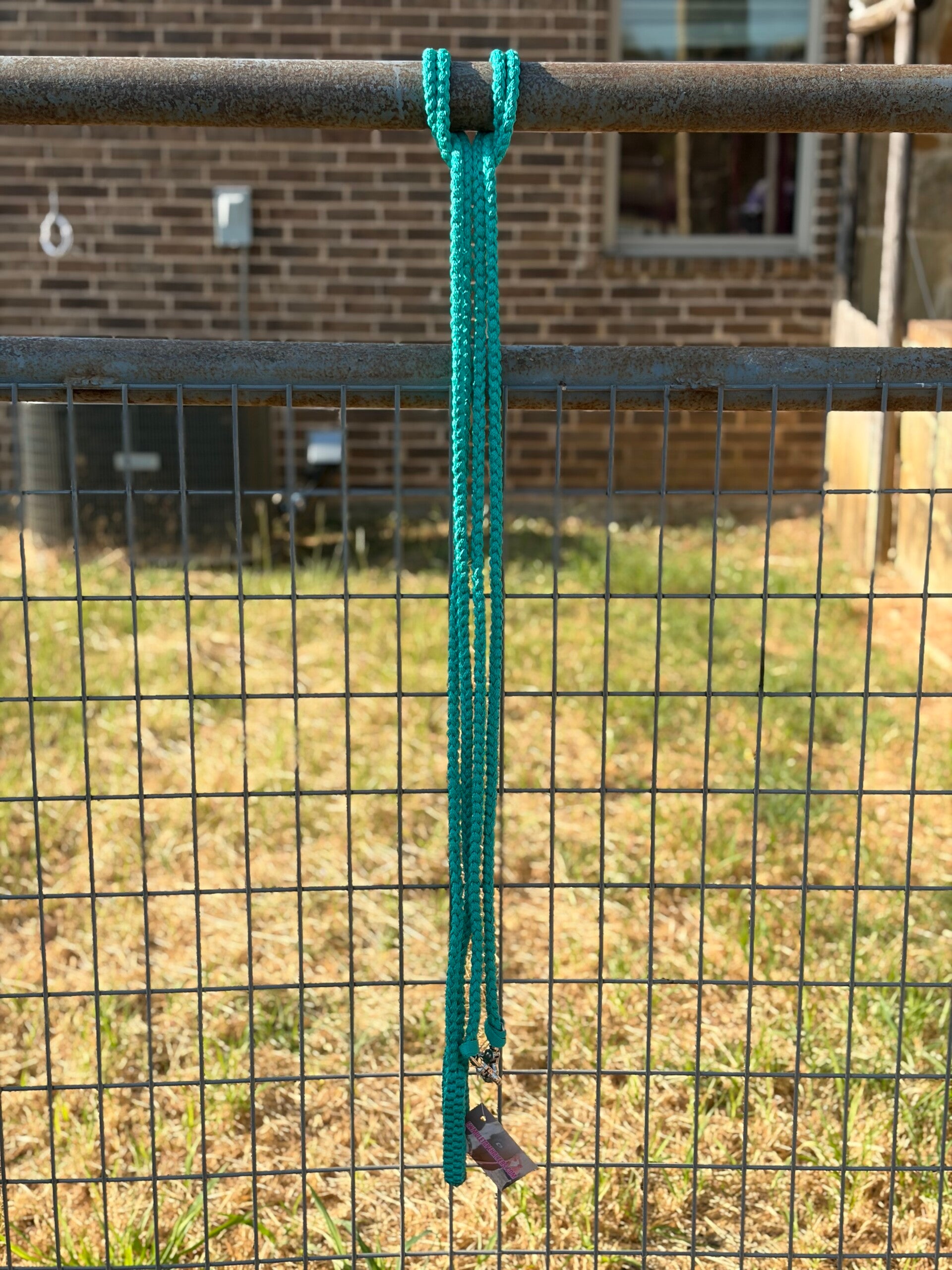 Teal Split Reins