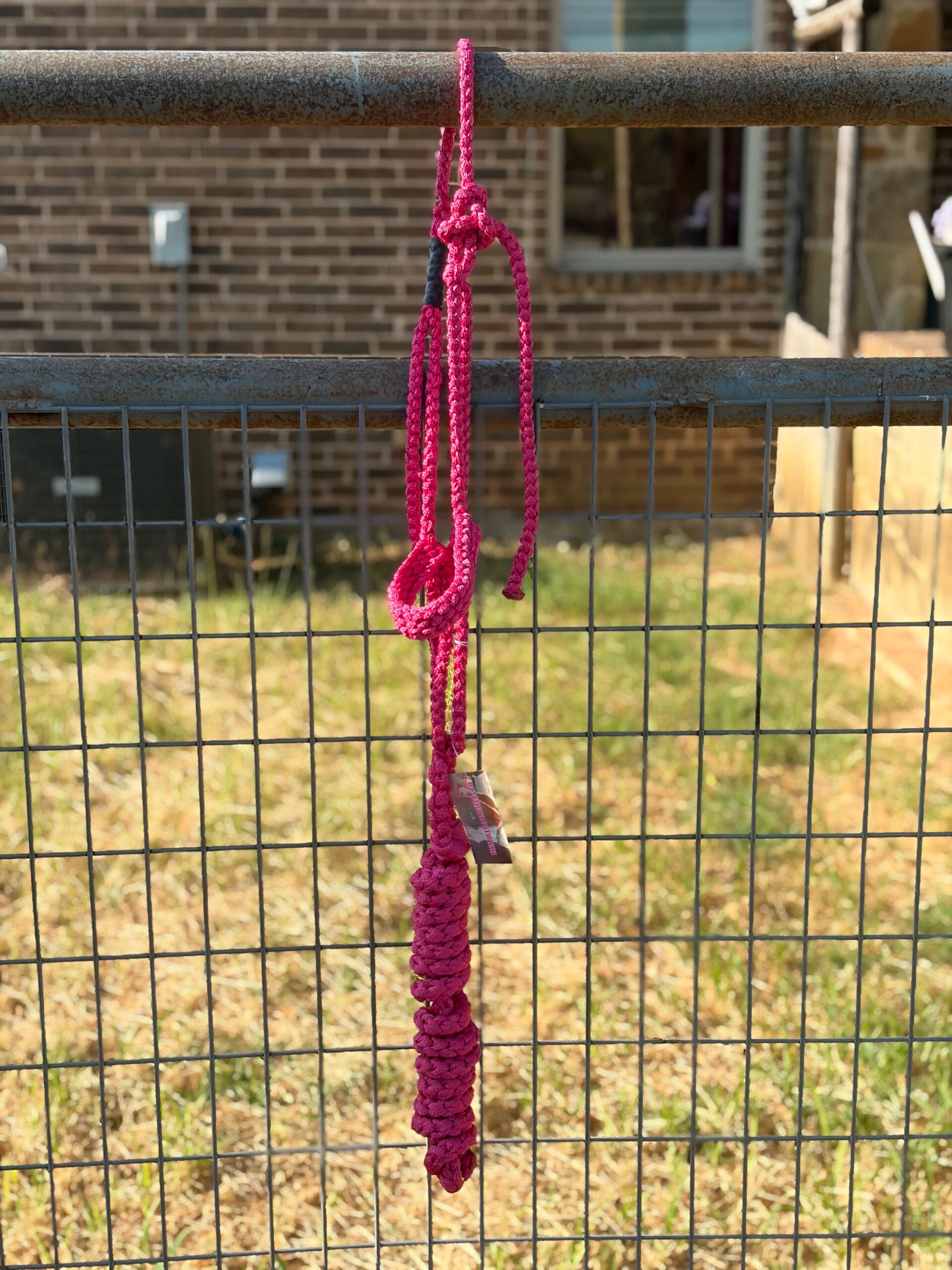 Fuchsia Flat Muletape Halter