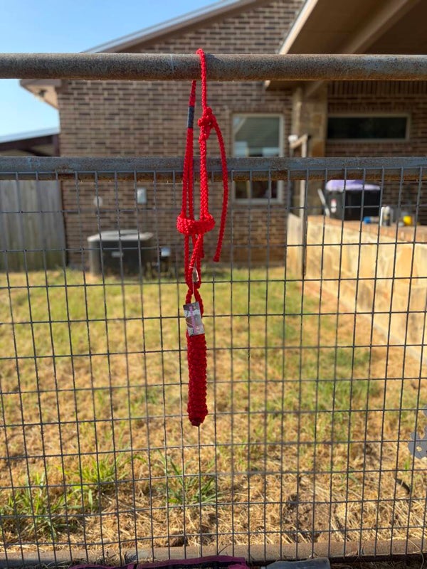 Red Flat Muletape Halter