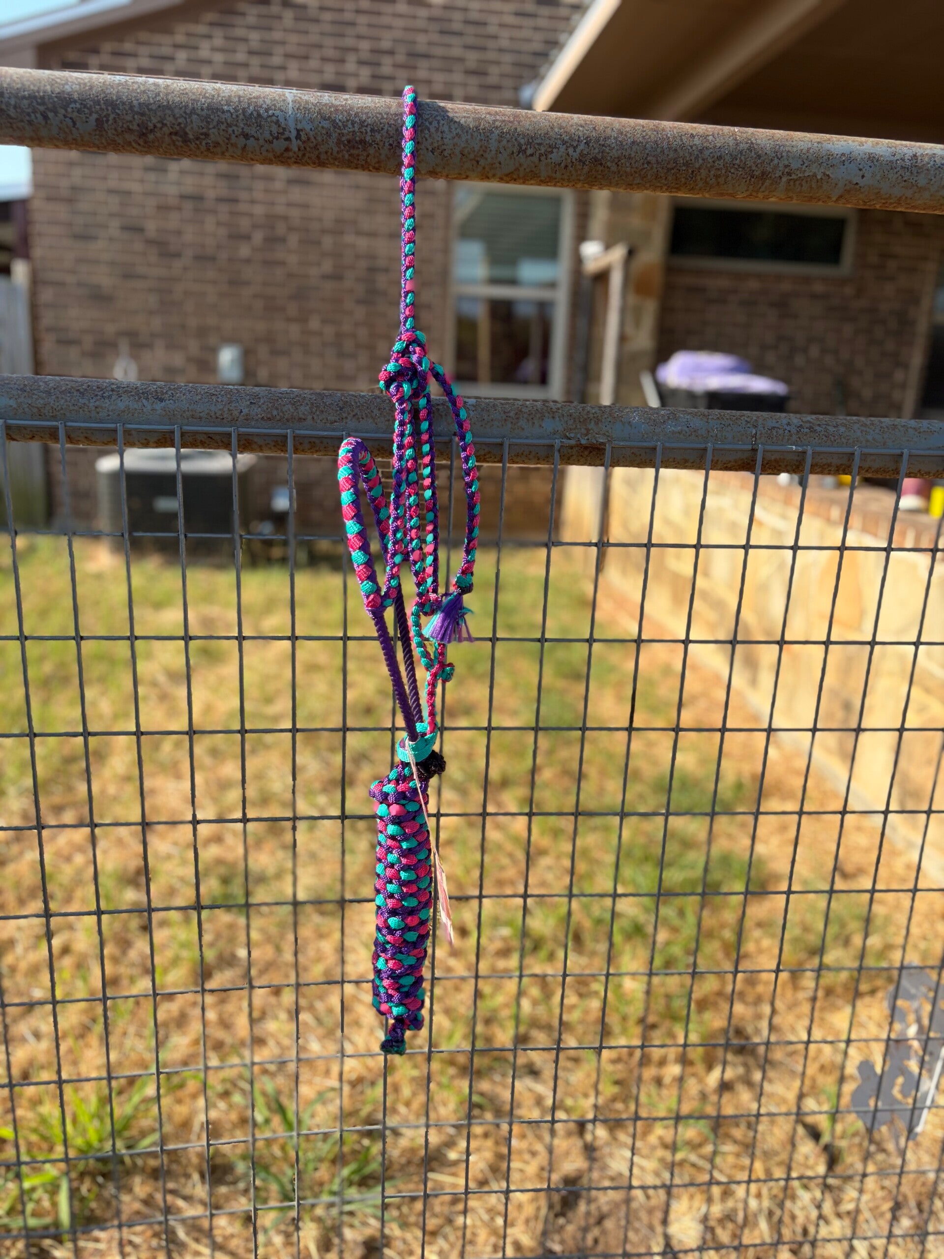 RTS: Purple, Fuchsia, Teal Braided Nose Muletape Halter
