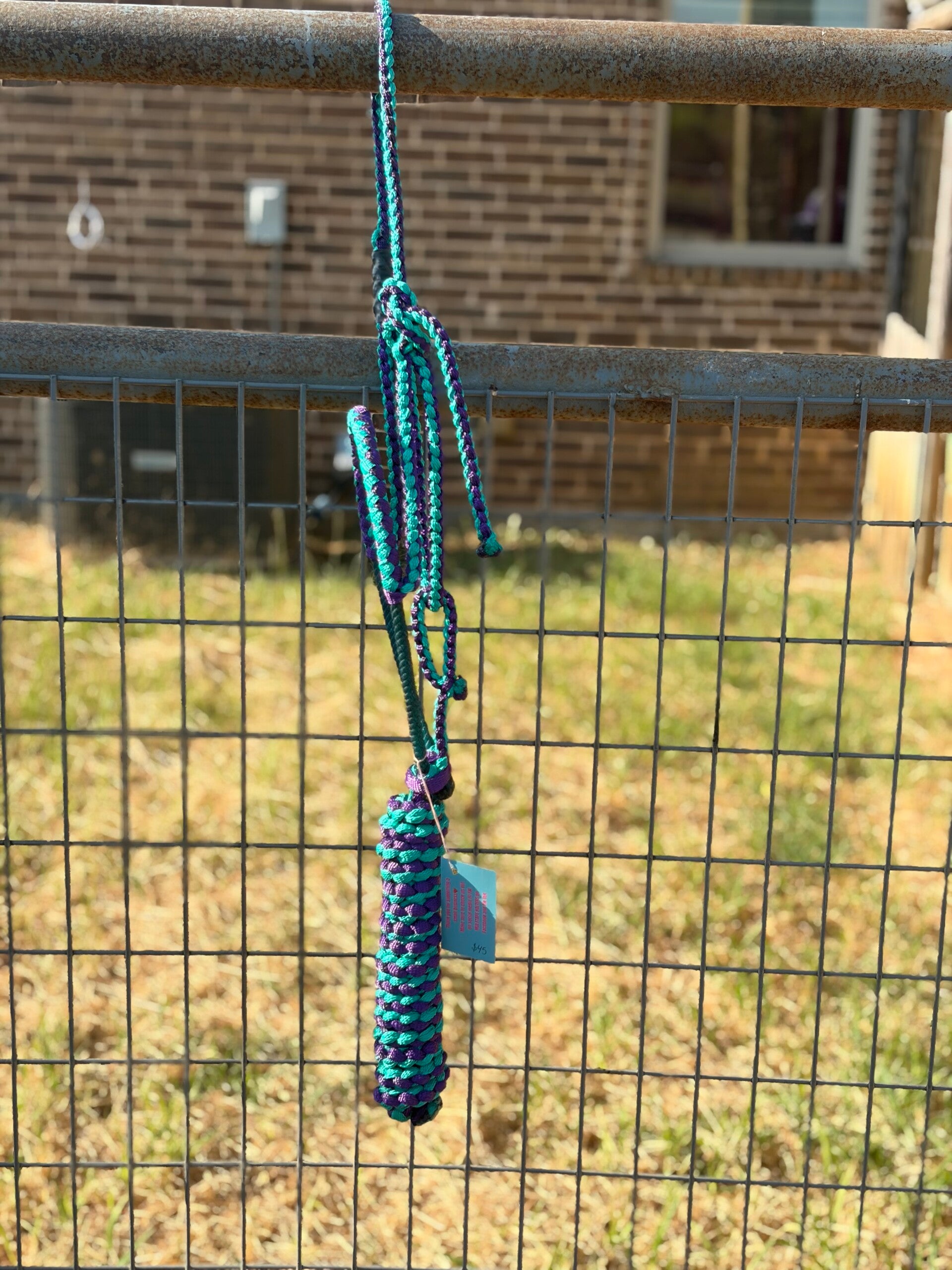 RTS: Teal+Purple Braided Nose Muletape Halter