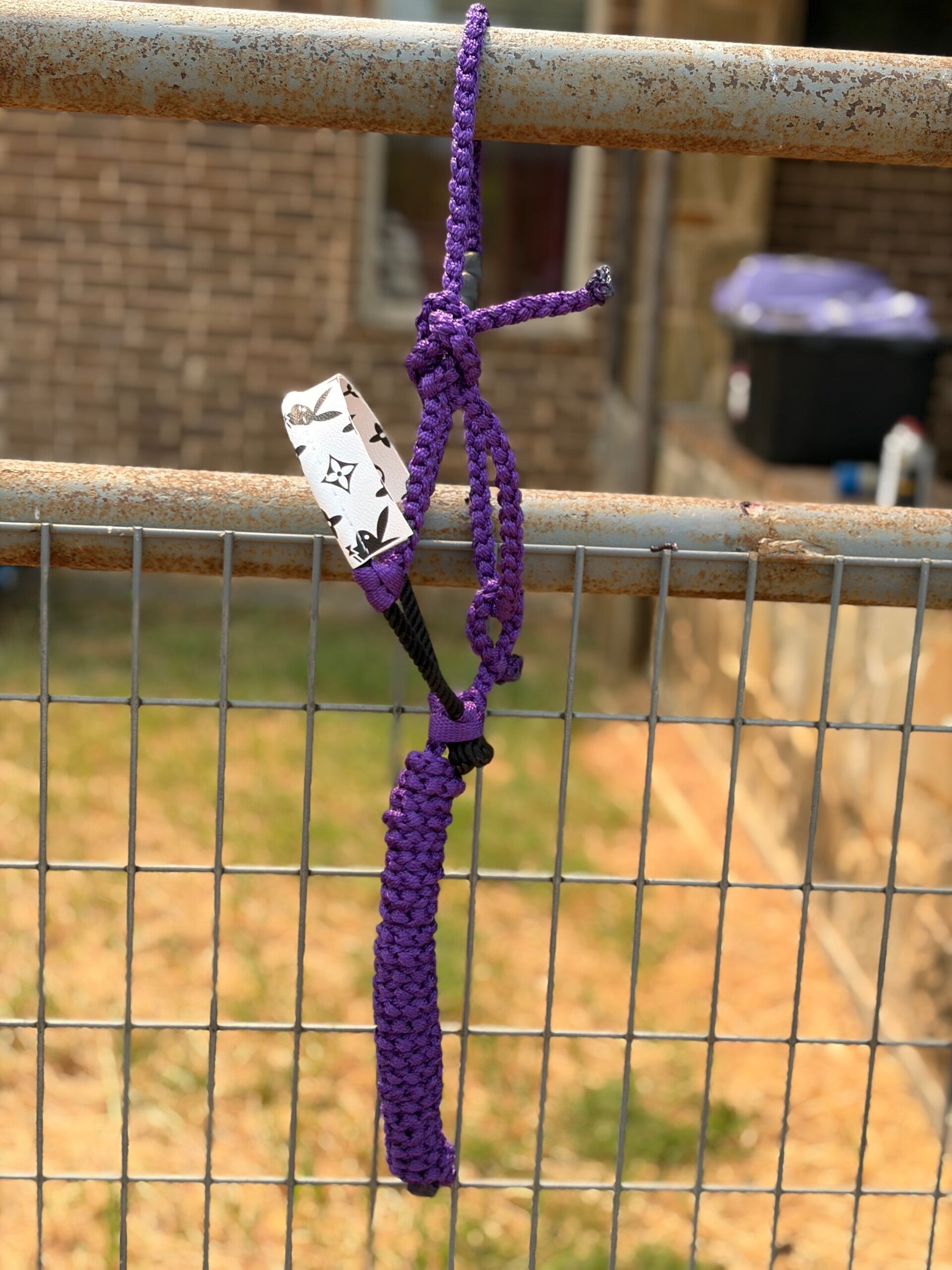 RTS: *MINI* Purple Leather& Muletape Halter