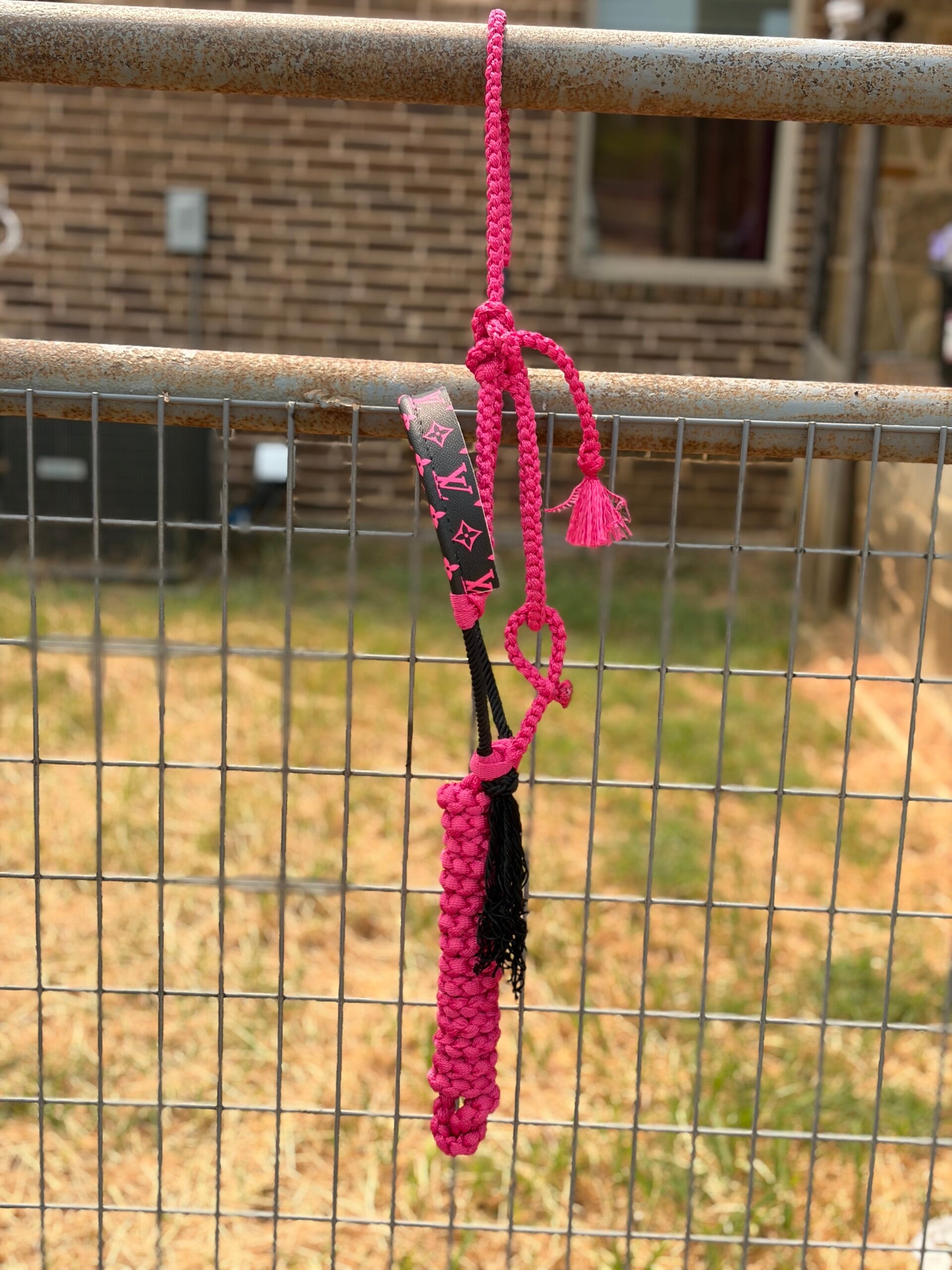 RTS: Fuchsia Leather& Muletape Halter