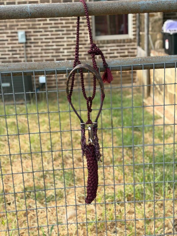 RTS: Burgundy Muletape Halter