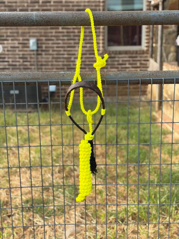 BB: Yellow Muletape Halter