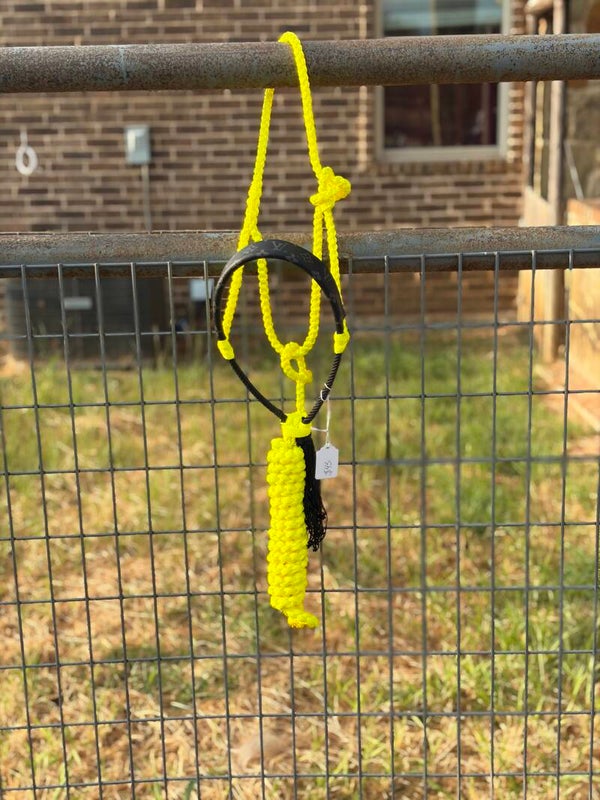 BB: Yellow Muletape Halter