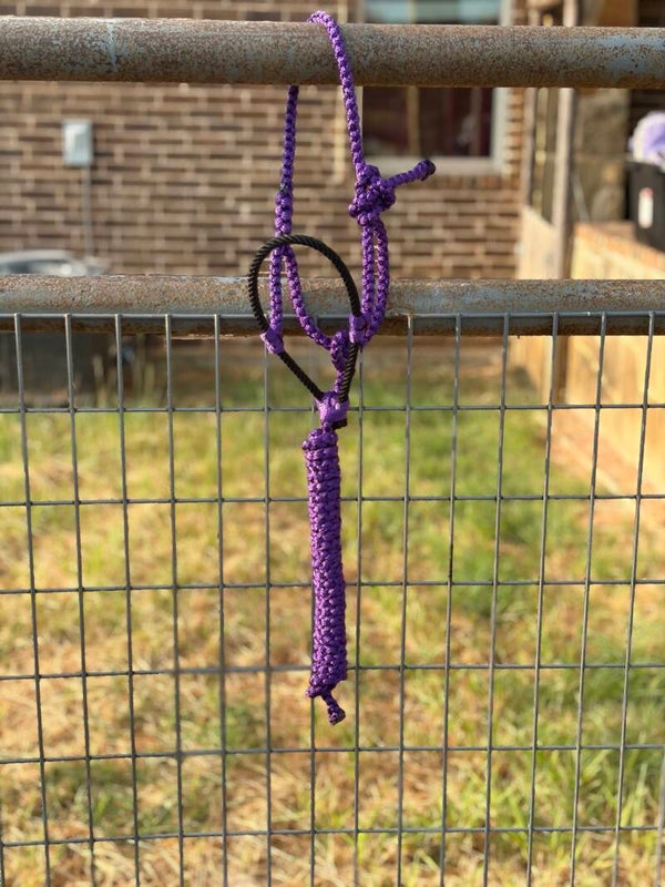 RTS: *MINI* Purple Lariat Halter