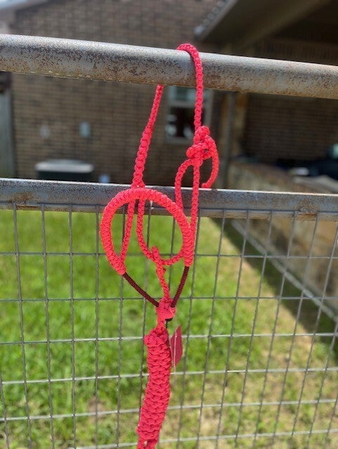 Pink Braided Muletape Halter