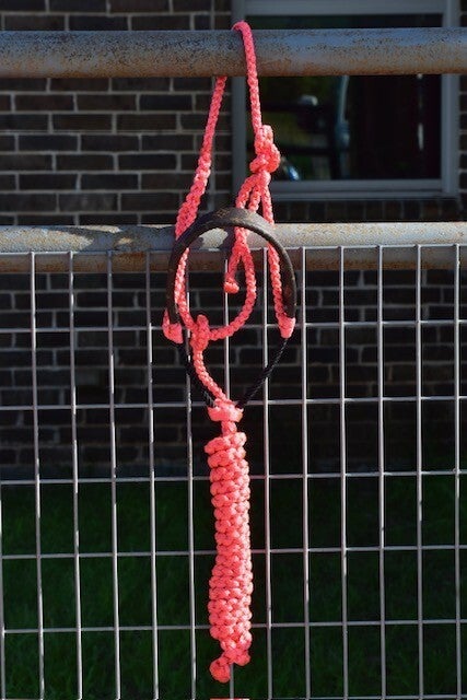 Pink Muletape Halter