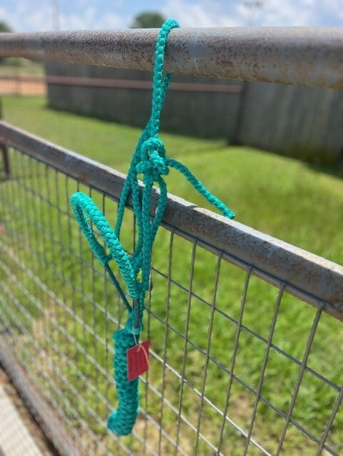 Teal Braided Muletape Halter