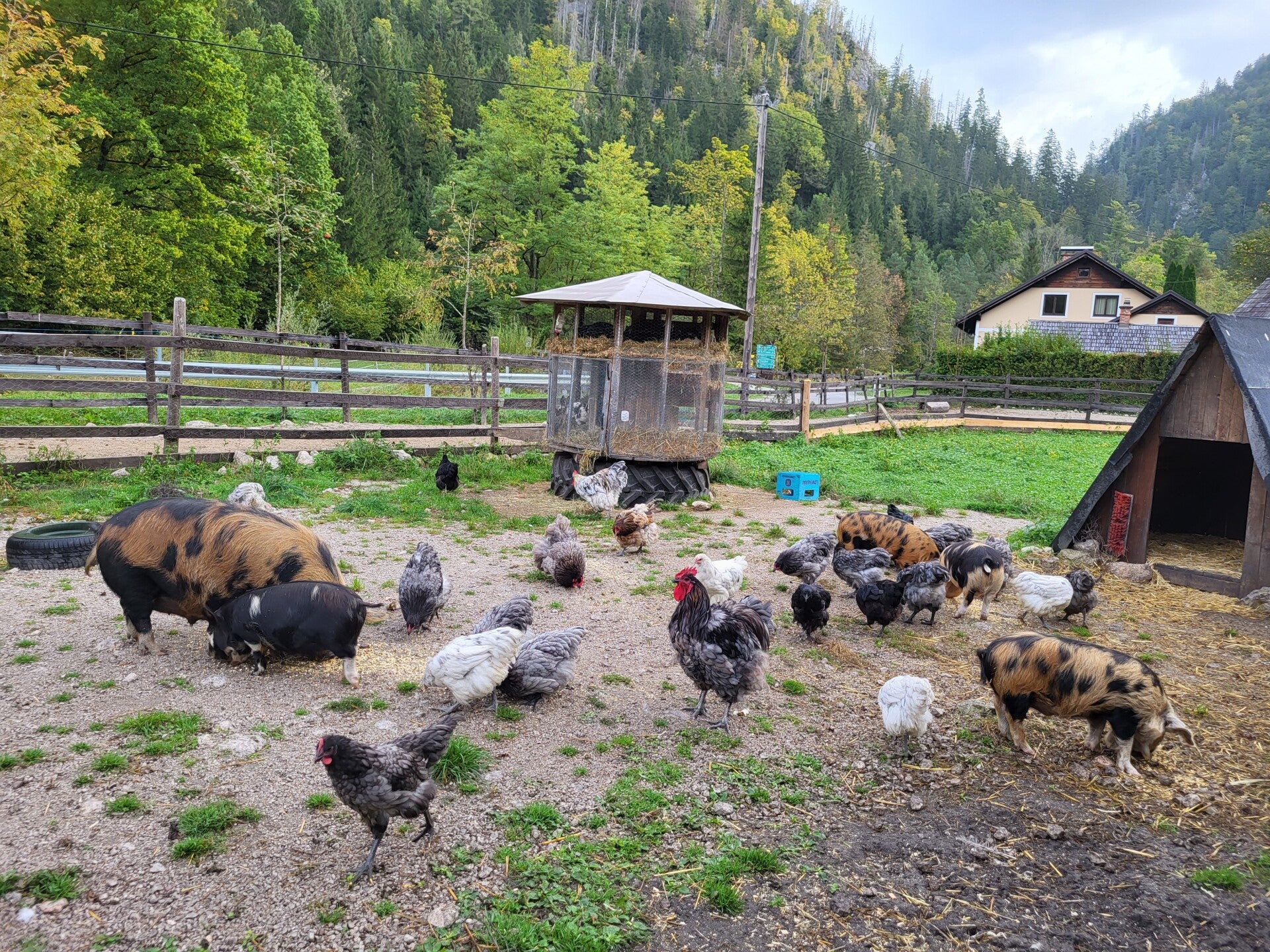 Grundlagen der Selbstversorgung
