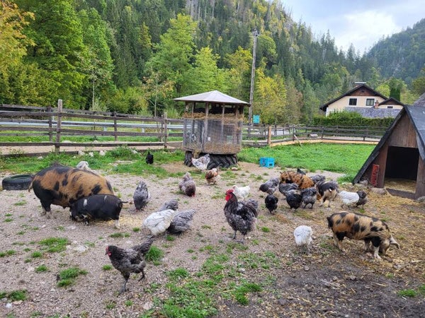 Grundlagen der Selbstversorgung