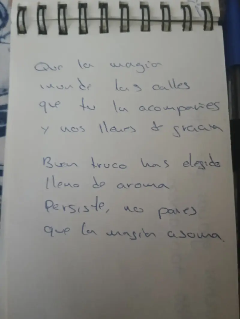 Reseña magia de boda