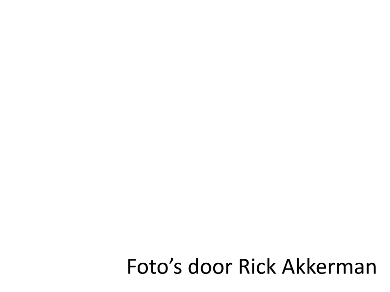 rick-akkerman-standard.png